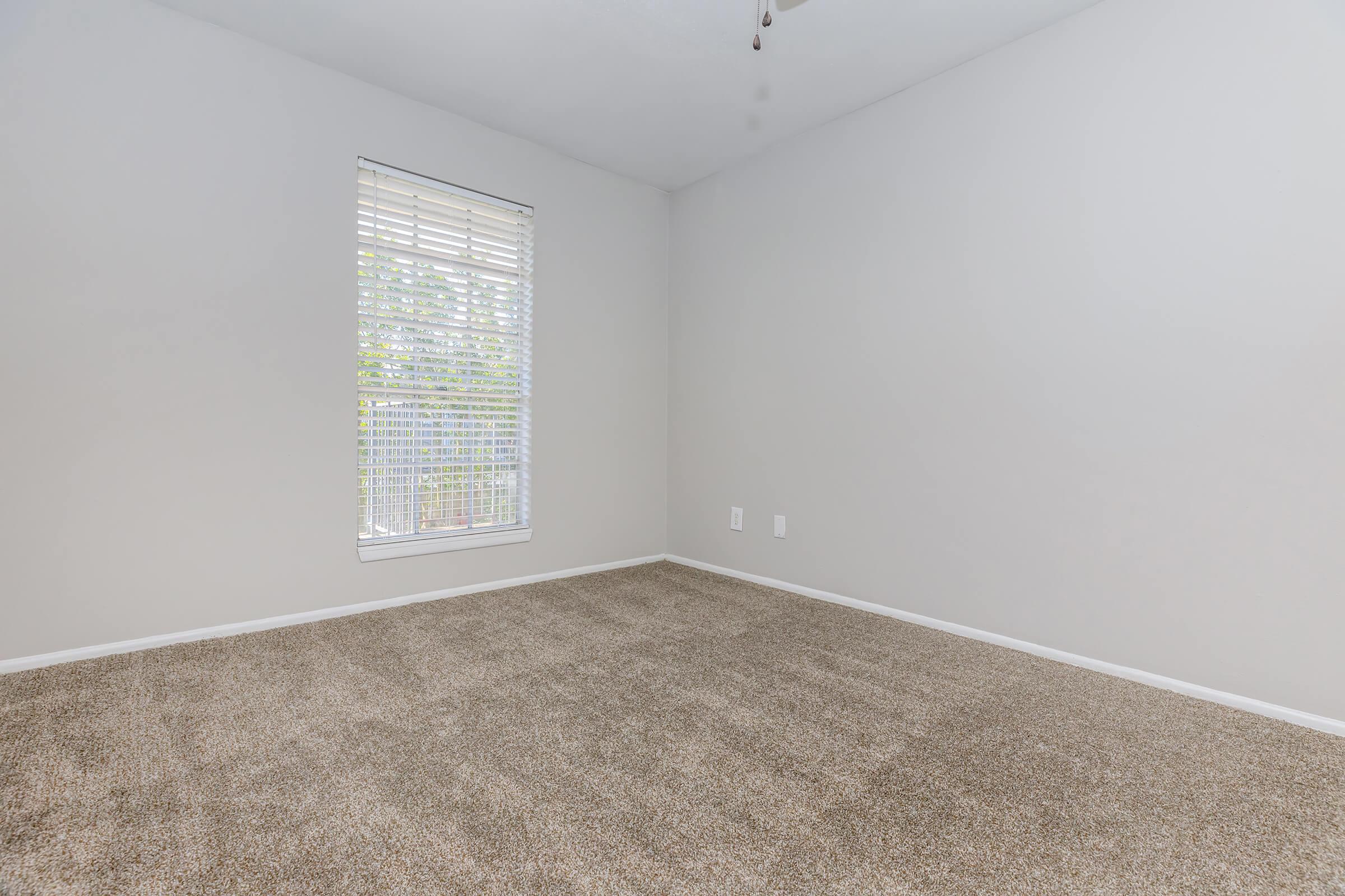 PLUSH CARPETING IN PLEASANT BEDROOM