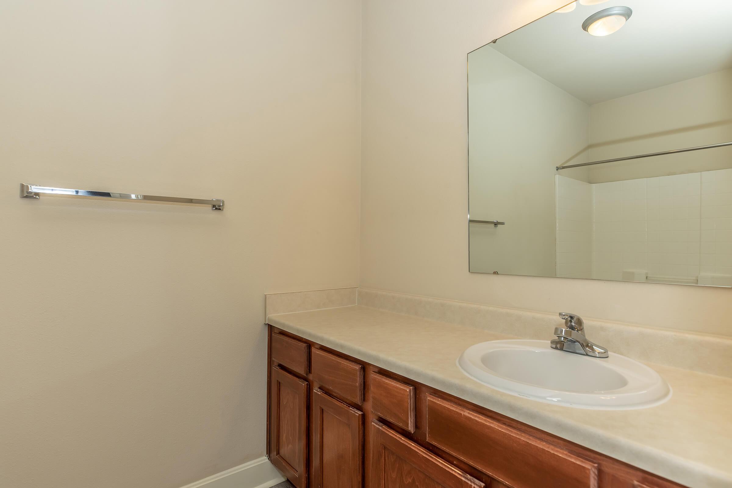 a double sink and large mirror