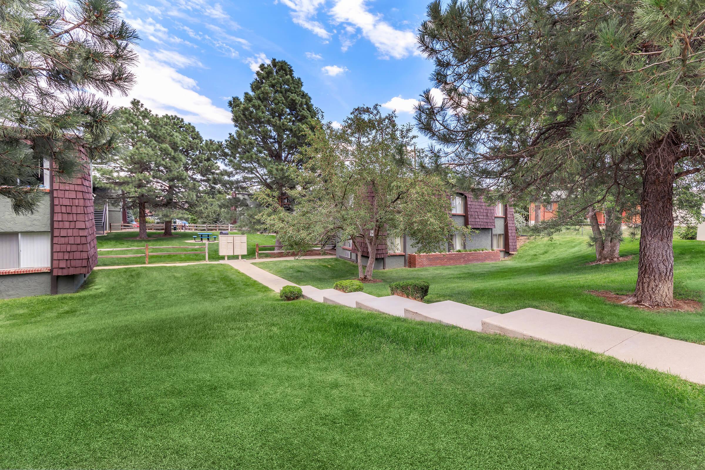 a large lawn in front of a tree