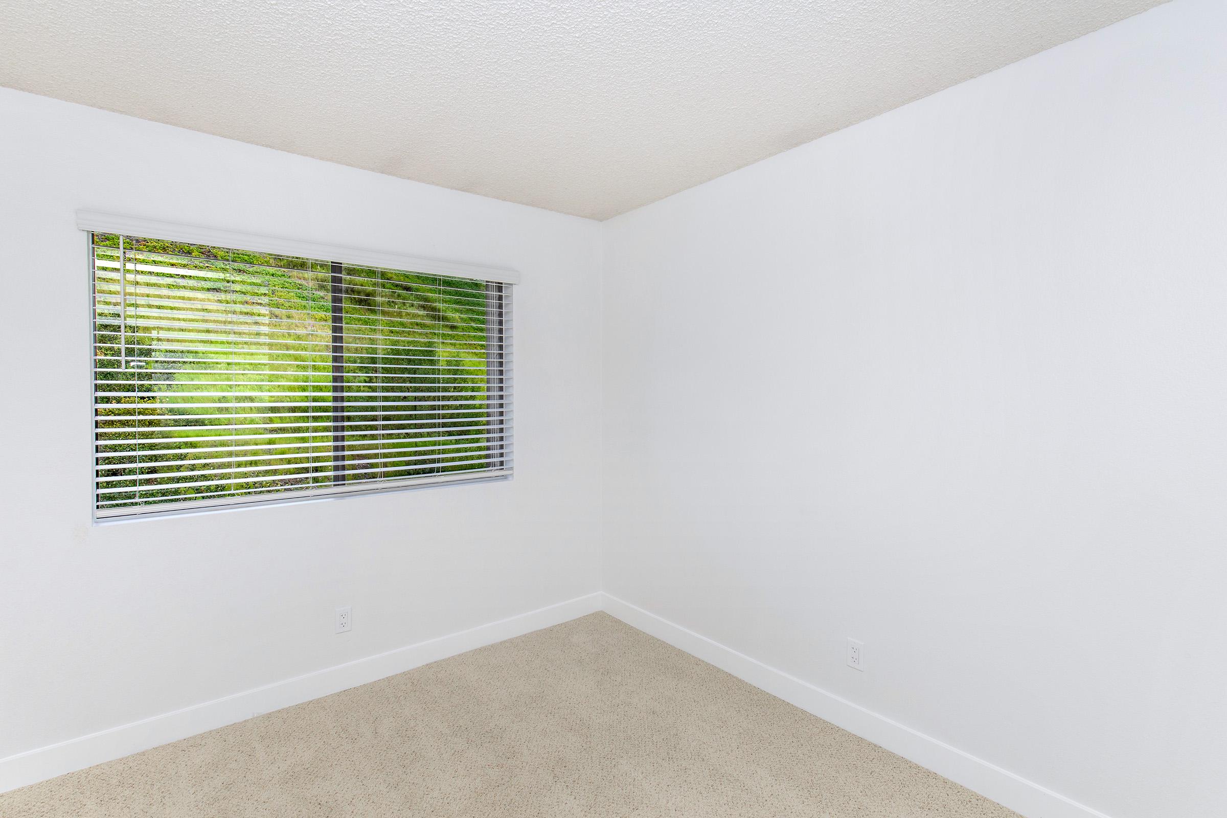 Empty room with a light-colored carpet and white walls. A large window with horizontal blinds lets in natural light, providing a view of greenery outside. The overall atmosphere is bright and spacious, emphasizing a minimalist design.