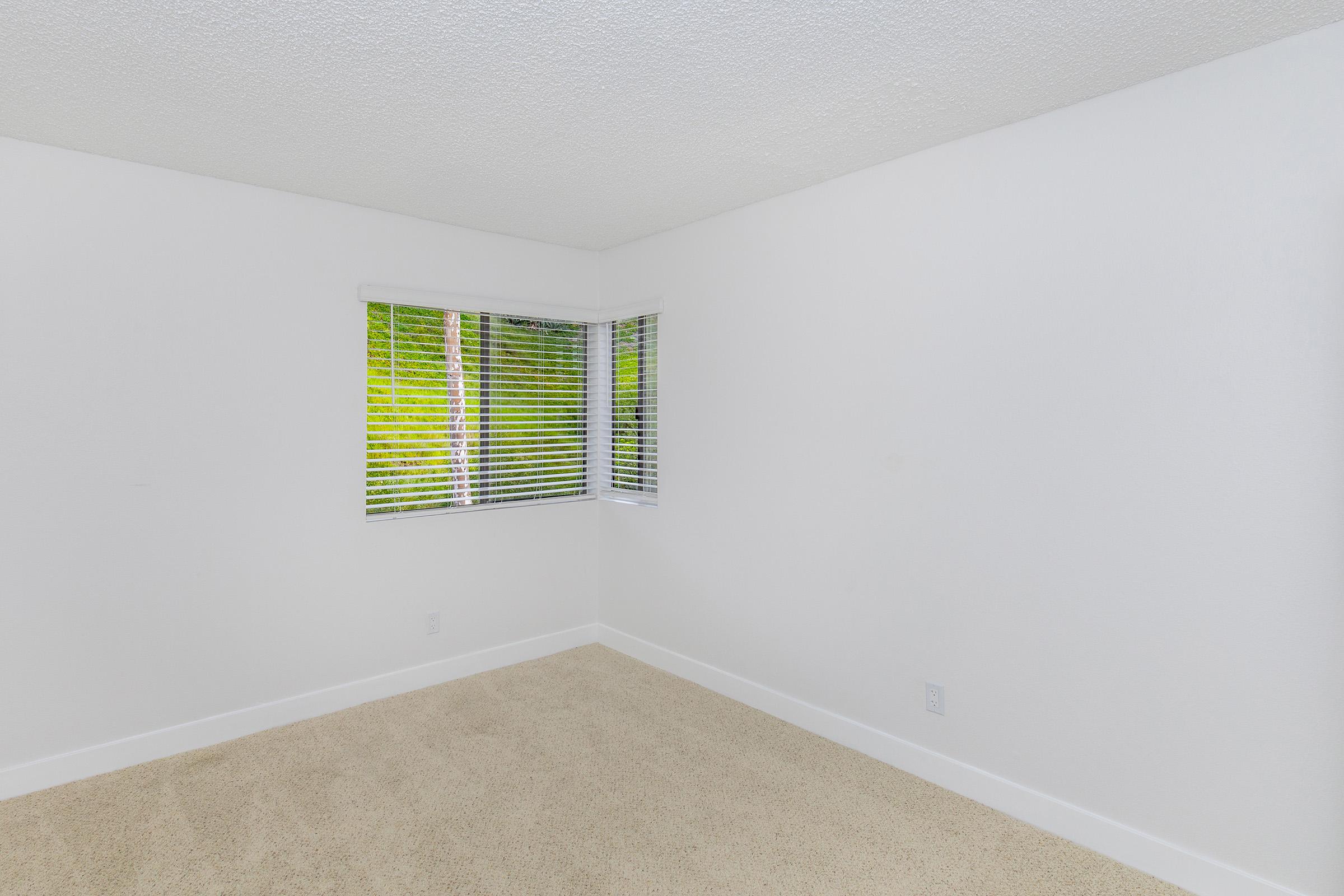 A bright, empty room with white walls and light beige carpet. A large window with white blinds allows natural light to fill the space, revealing green foliage outside. The room has a clean, minimalistic design with no furniture.
