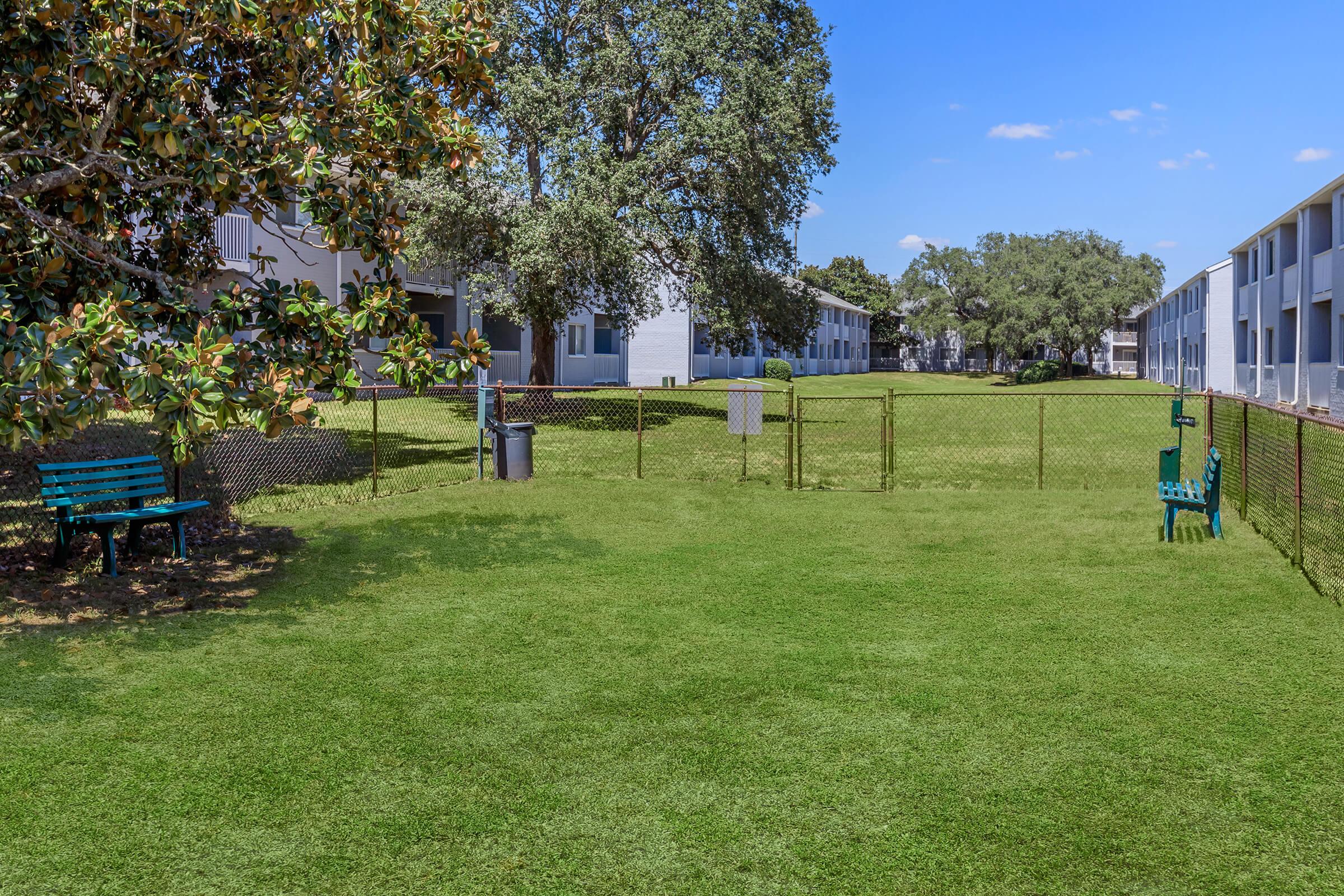 A spacious grassy area enclosed by a fence, featuring two green benches and a trash can. In the background, there are residential buildings with white exteriors and large trees providing shade. The sky is clear with a few clouds, creating a bright outdoor setting.