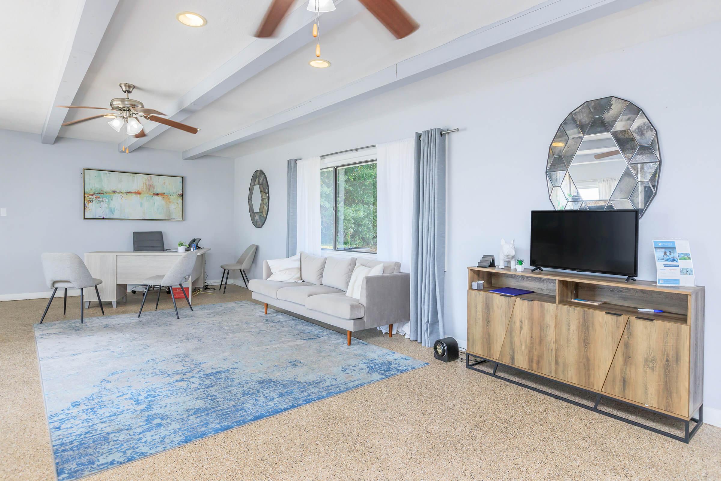 A modern, light-filled living space featuring a grey sofa and a large area rug with blue tones. There's a wooden TV stand with a screen, a dining table with chairs, and decorative mirrors on the walls. Bright natural light enters from a window, contributing to a welcoming ambiance.