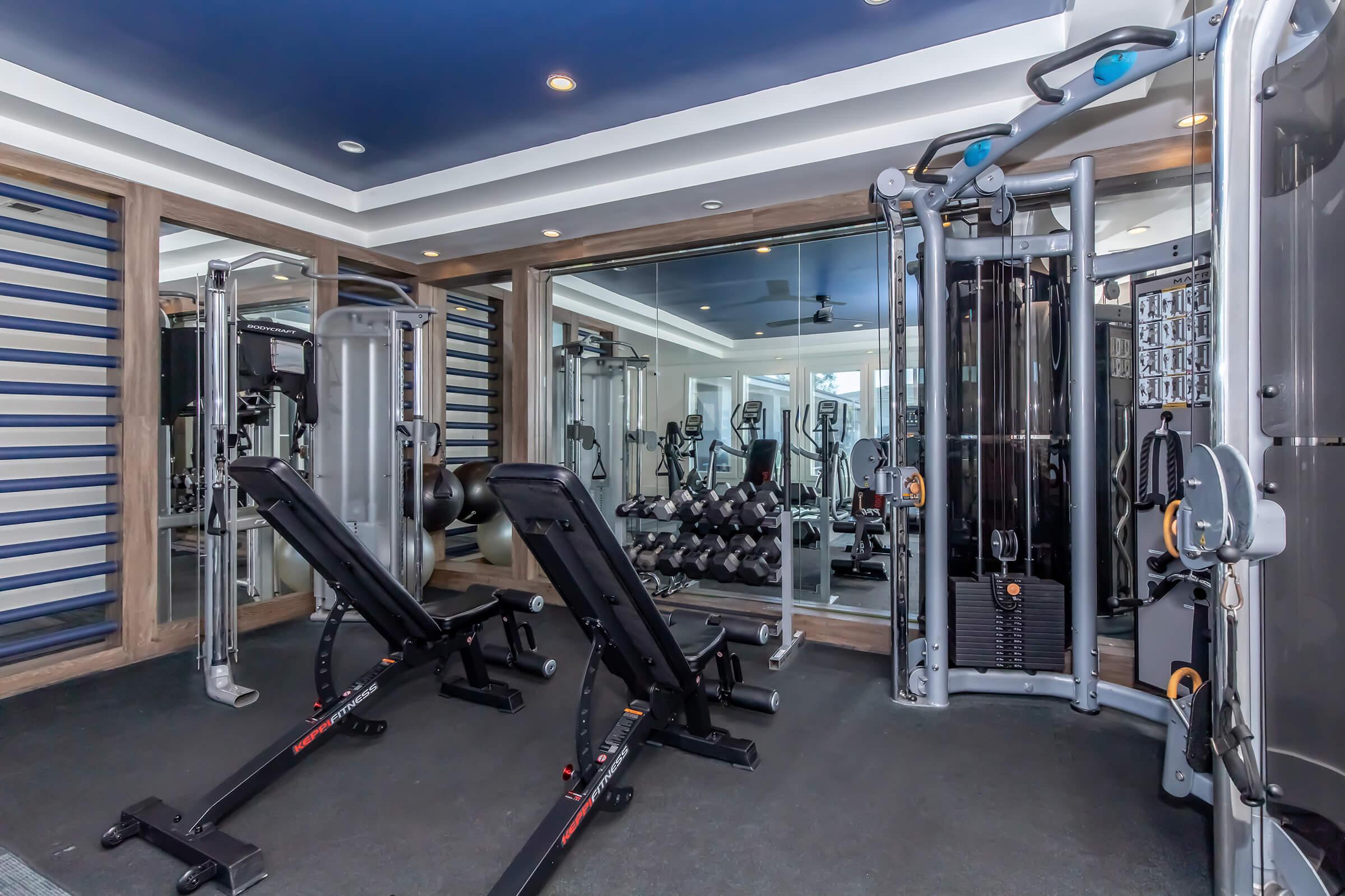 A modern home gym featuring weightlifting benches, dumbbells, and various exercise machines. The room is well-lit with mirrors and has a blue ceiling, creating an inviting workout space. Large windows provide natural light, enhancing the atmosphere for fitness activities.
