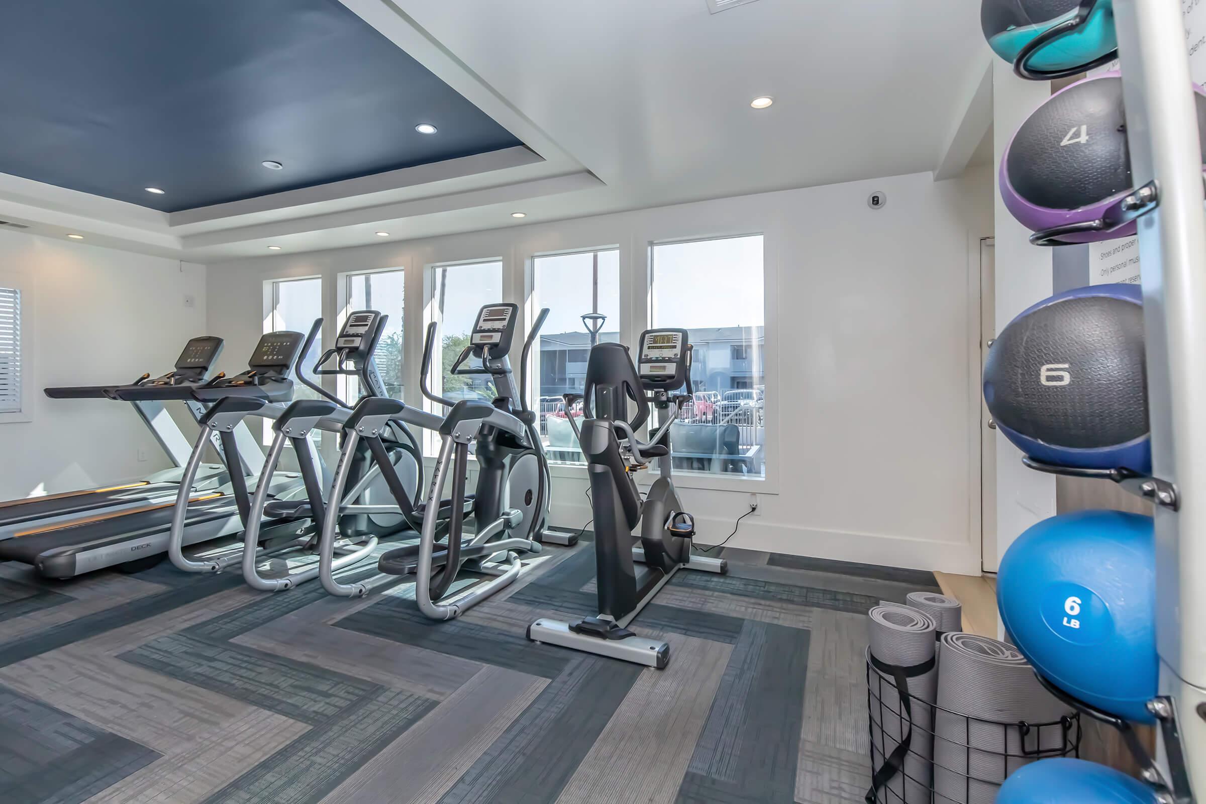 A modern gym space featuring several cardio machines, including treadmills and ellipticals, along with free weights and medicine balls neatly organized on a rack. The gym has large windows allowing natural light to fill the area, enhancing the open and spacious feel.