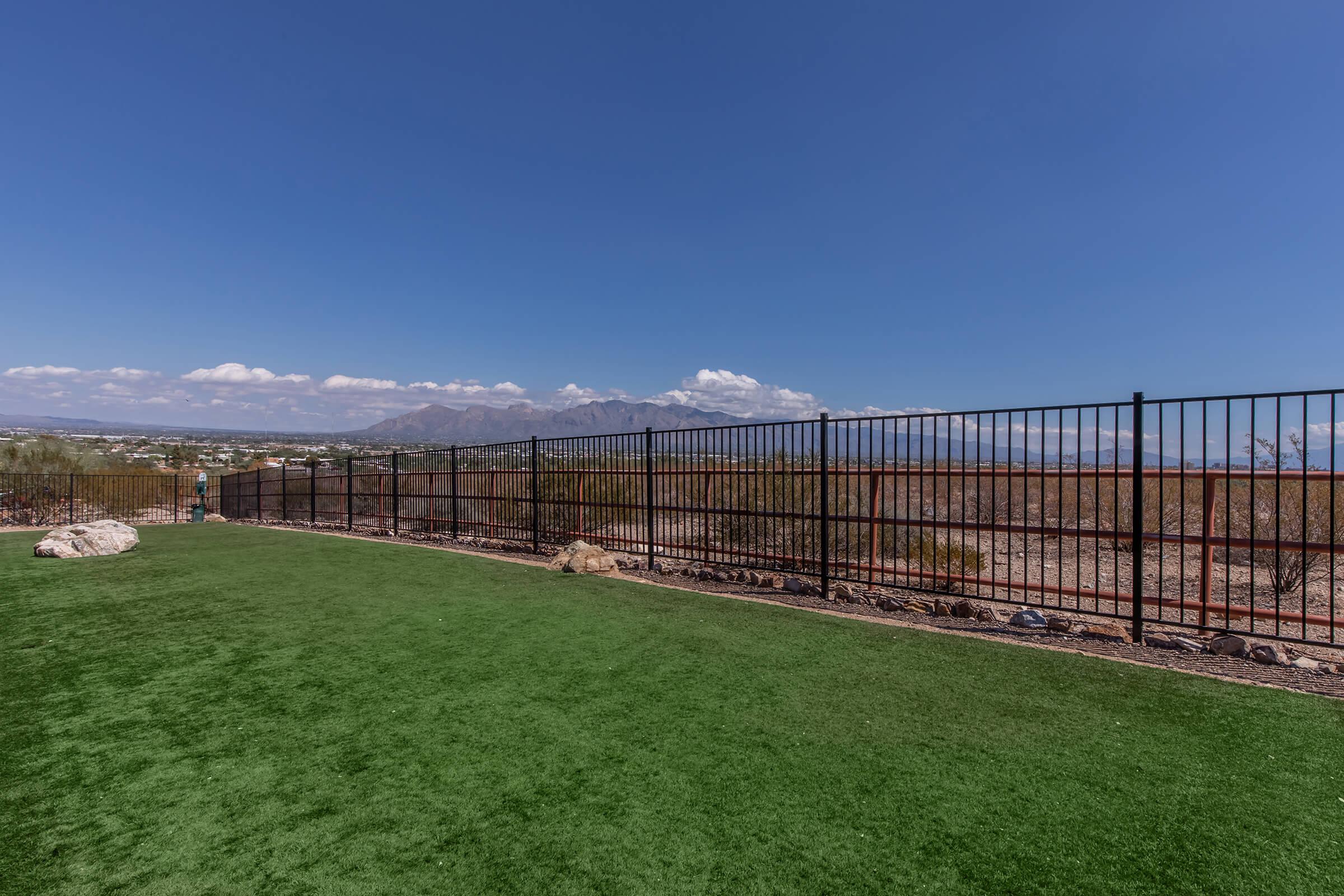A grassy area enclosed by a metal fence, with distant mountains and a clear blue sky in the background. The landscape is arid, with a few rocks scattered near the fence.