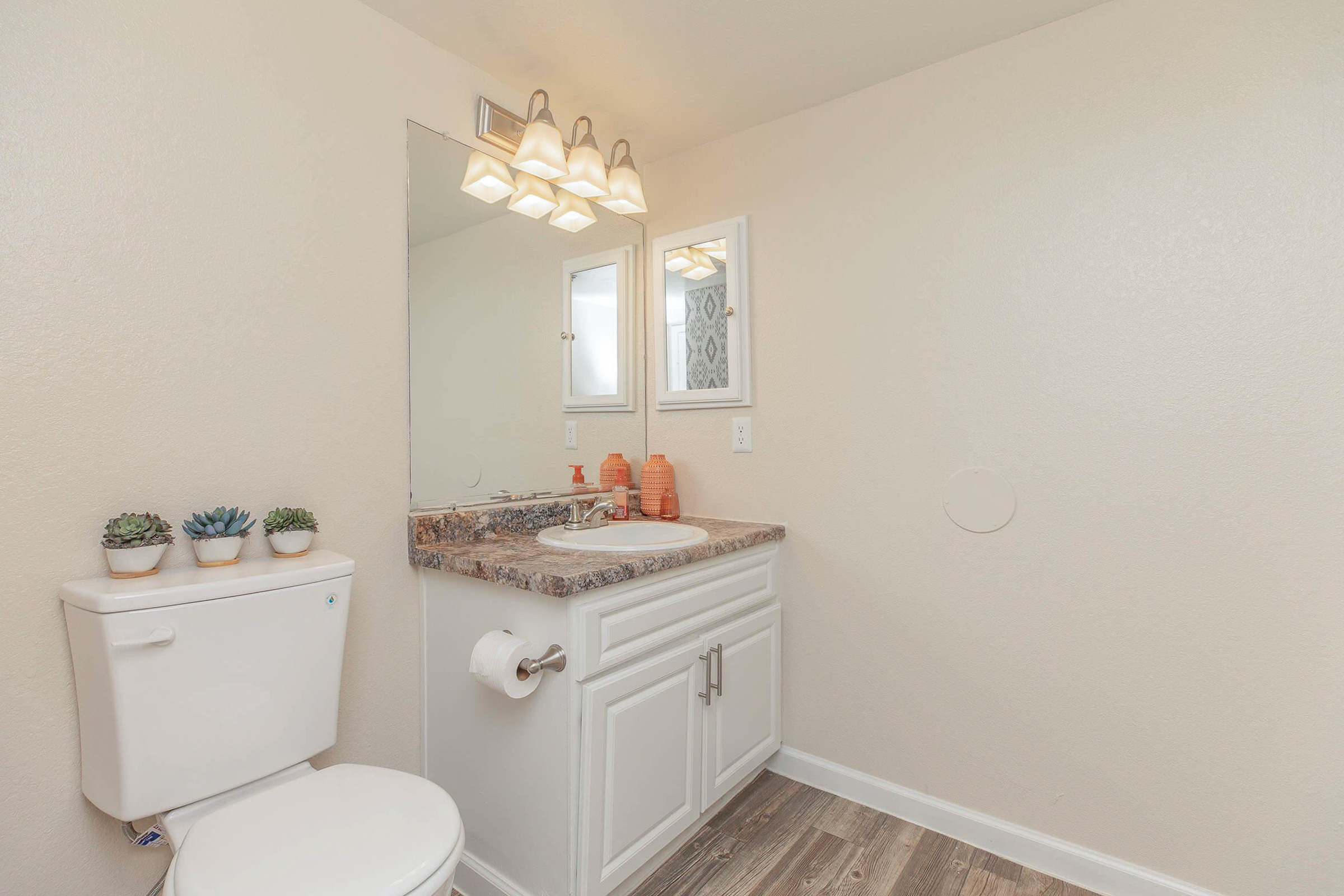 A clean, modern bathroom featuring a white toilet, a light-colored vanity with a decorative countertop, and a large mirror. The vanity is adorned with small potted succulents and orange containers. The walls are painted a soft beige, and the flooring is a light wood finish.