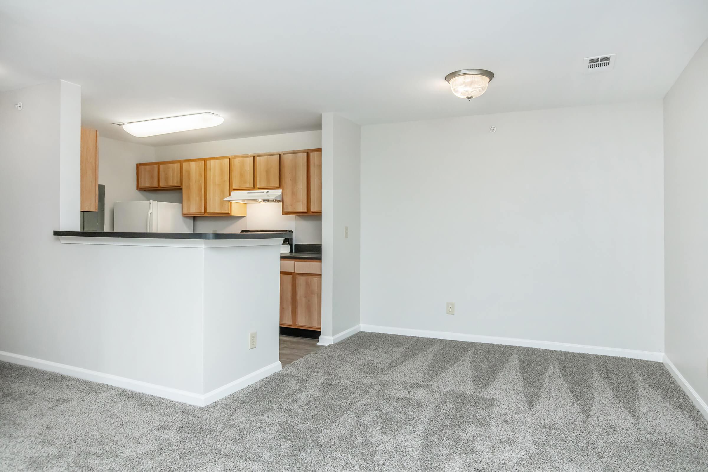 Interior of a modern apartment featuring an open living area with light gray carpet, a kitchen with wooden cabinets and appliances, and a neutral-colored wall. The space is well-lit, creating a cozy atmosphere.