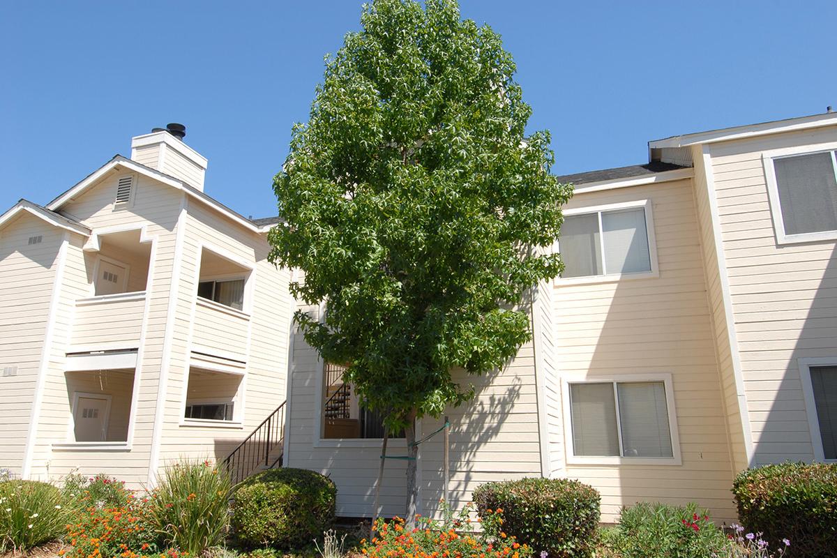a house with bushes in front of a building