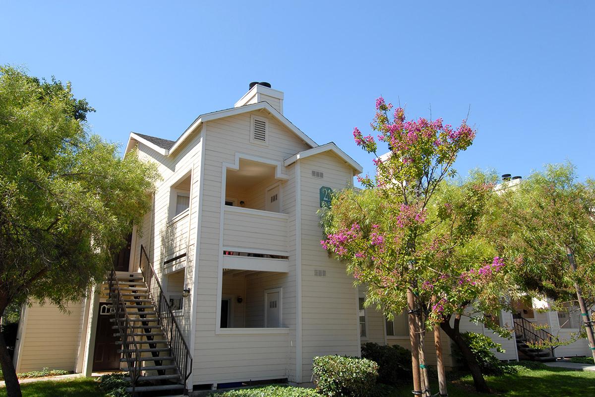 a tree in front of a house