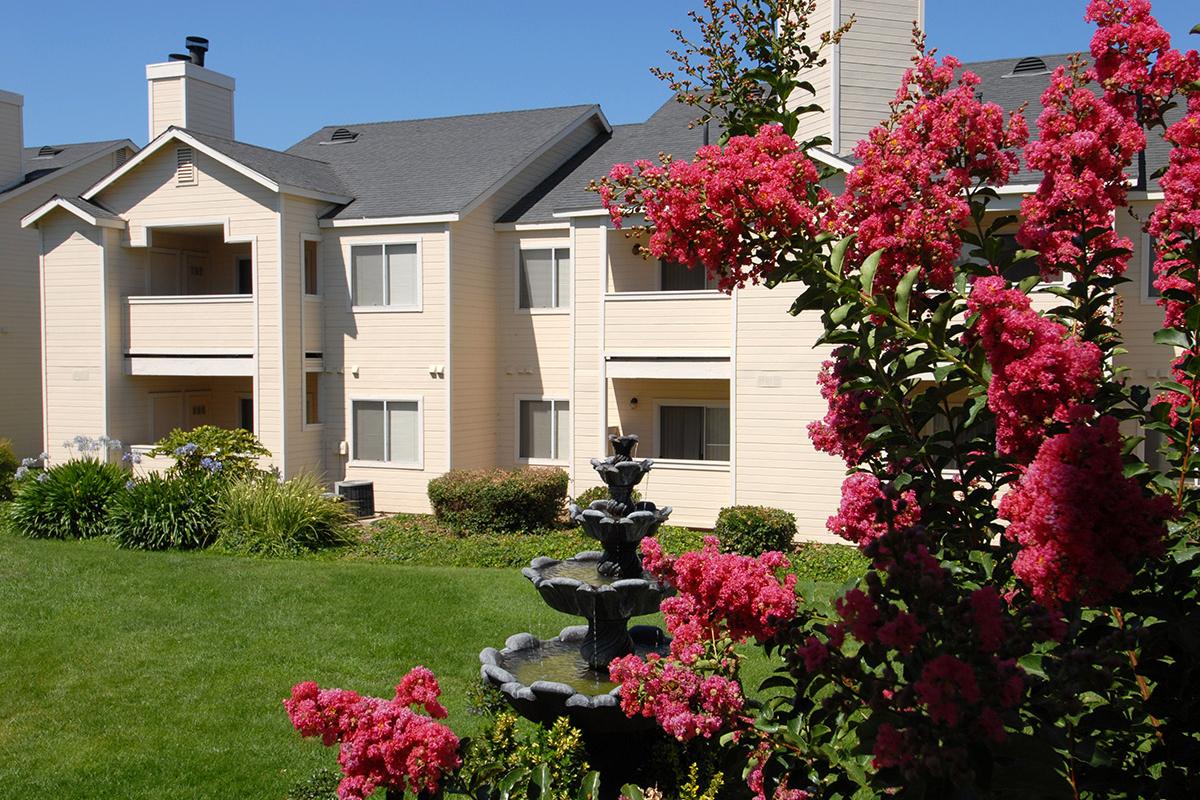 a pink flower is standing in front of a house