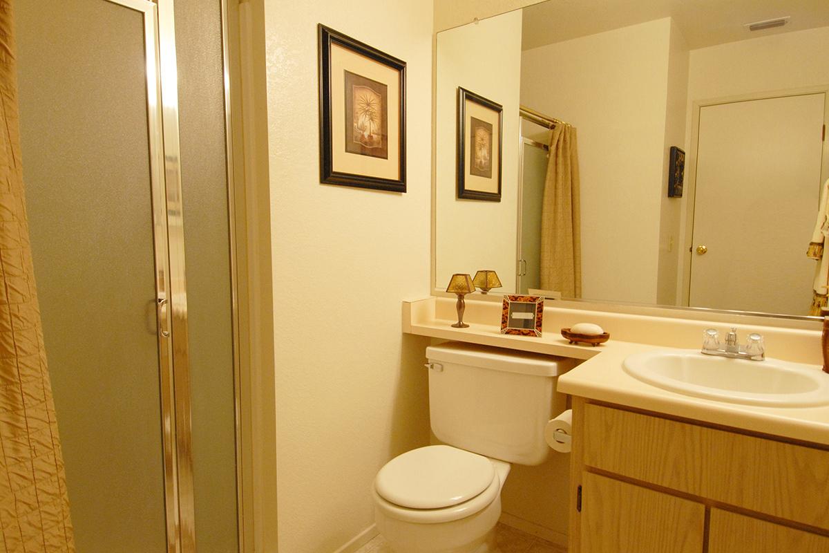 a white sink sitting under a mirror