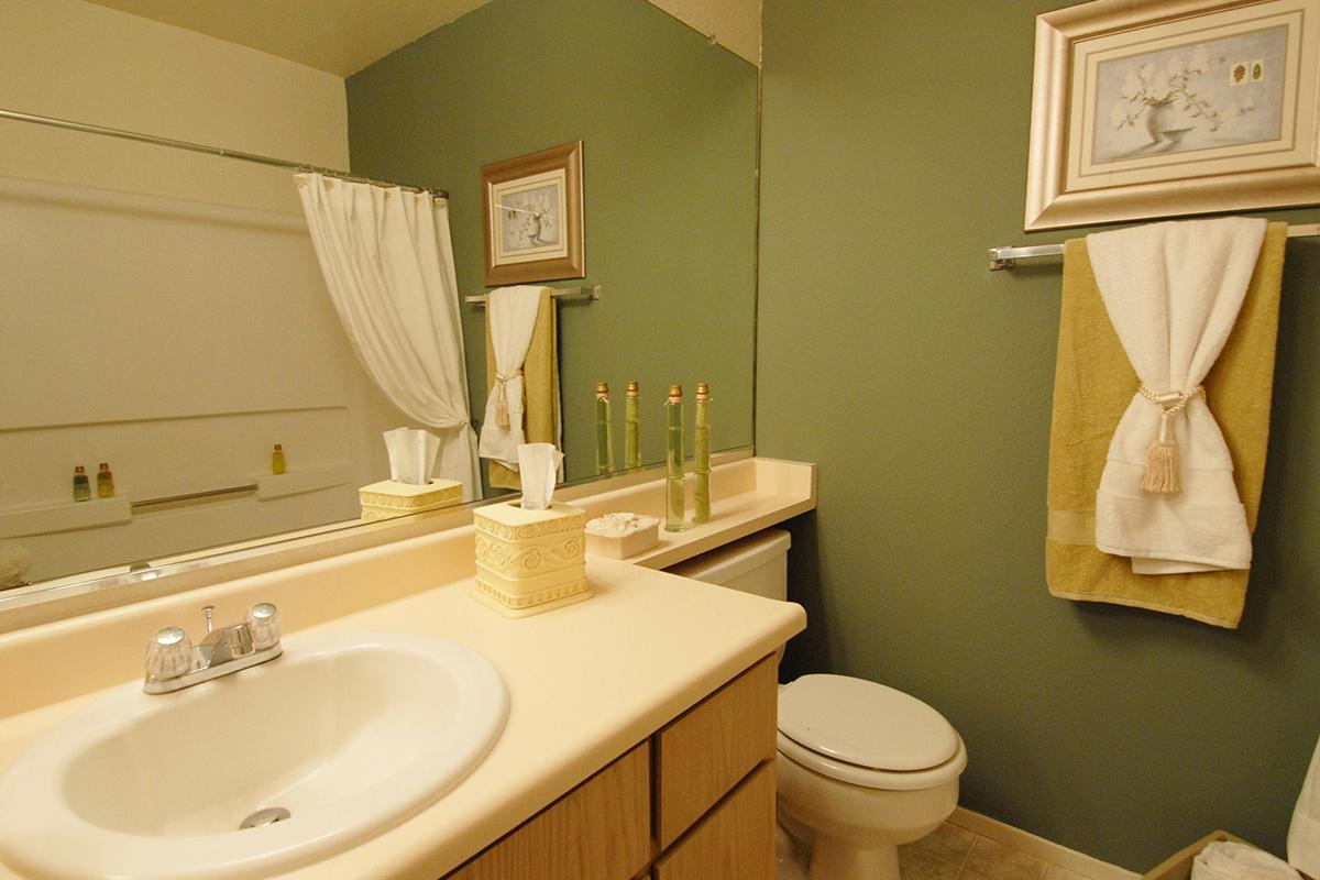 a white sink sitting under a mirror