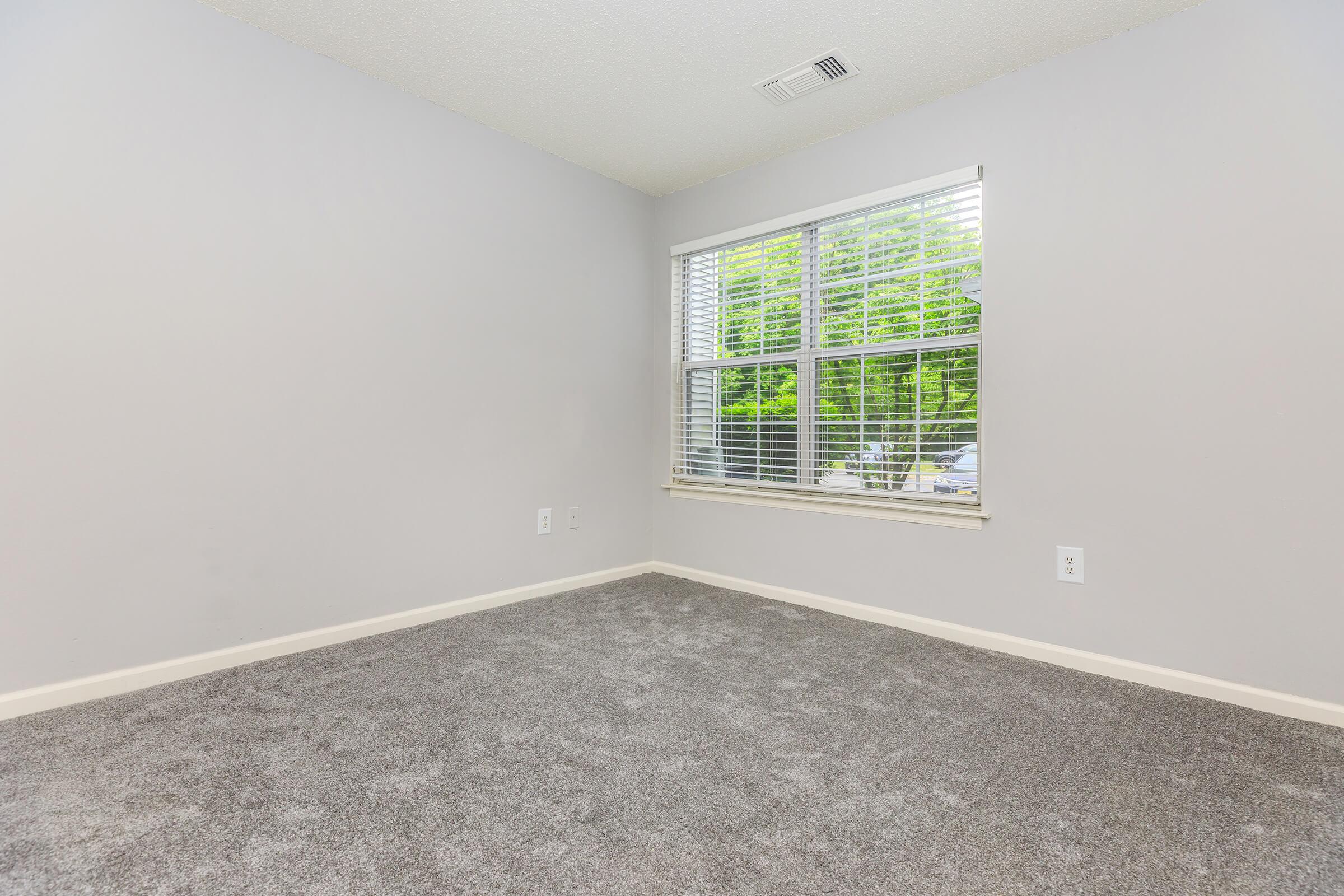 A corner of an empty room with light gray walls and carpeted flooring. A large window with blinds allows natural light to enter, revealing greenery outside. The space is minimalistic, with no furniture or decorations present, creating a clean and open atmosphere.