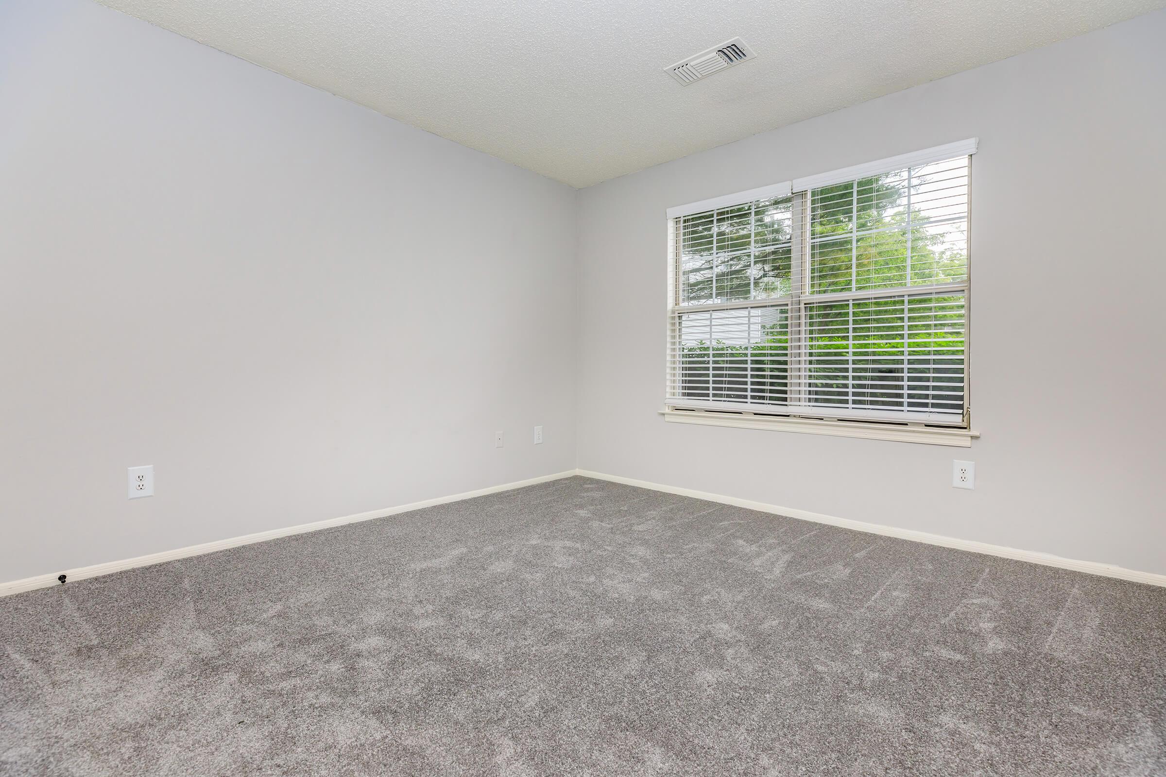 A spacious, empty room with light gray walls and soft gray carpet. There is a large window with white blinds allowing natural light in, and a view of green trees outside. The room has no furniture, creating a minimalistic and open atmosphere.