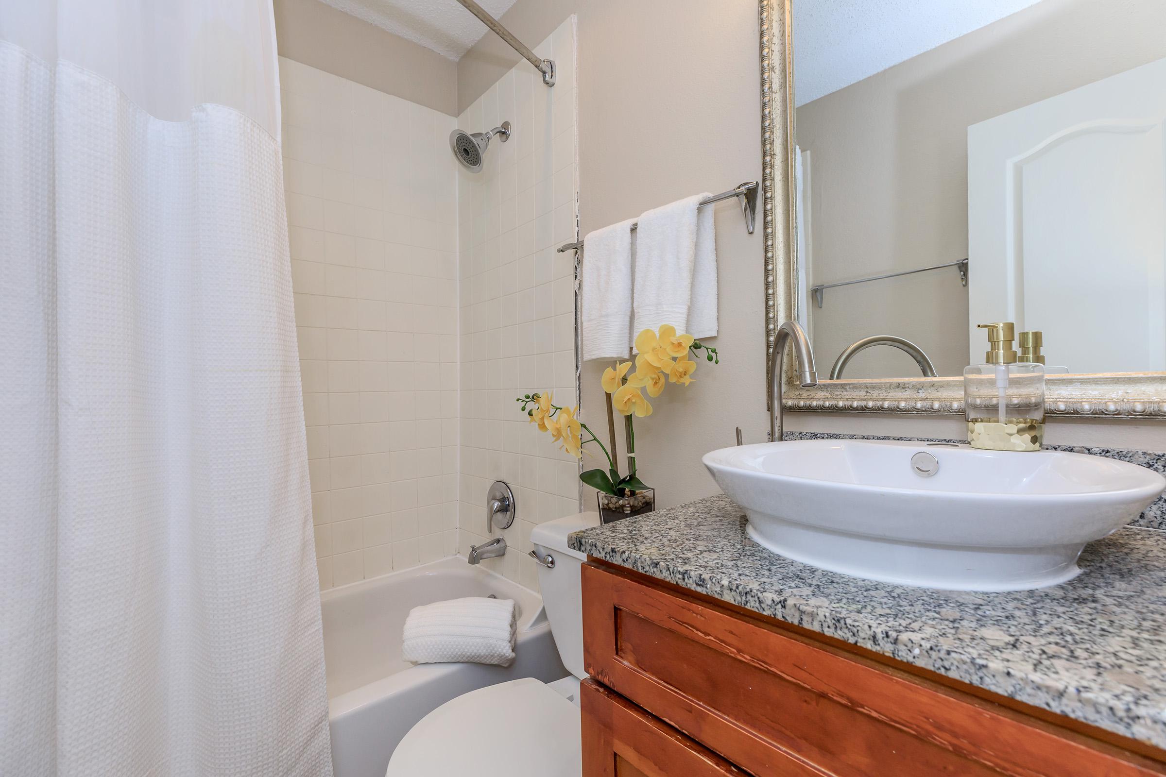 a shower that has a sink and a mirror