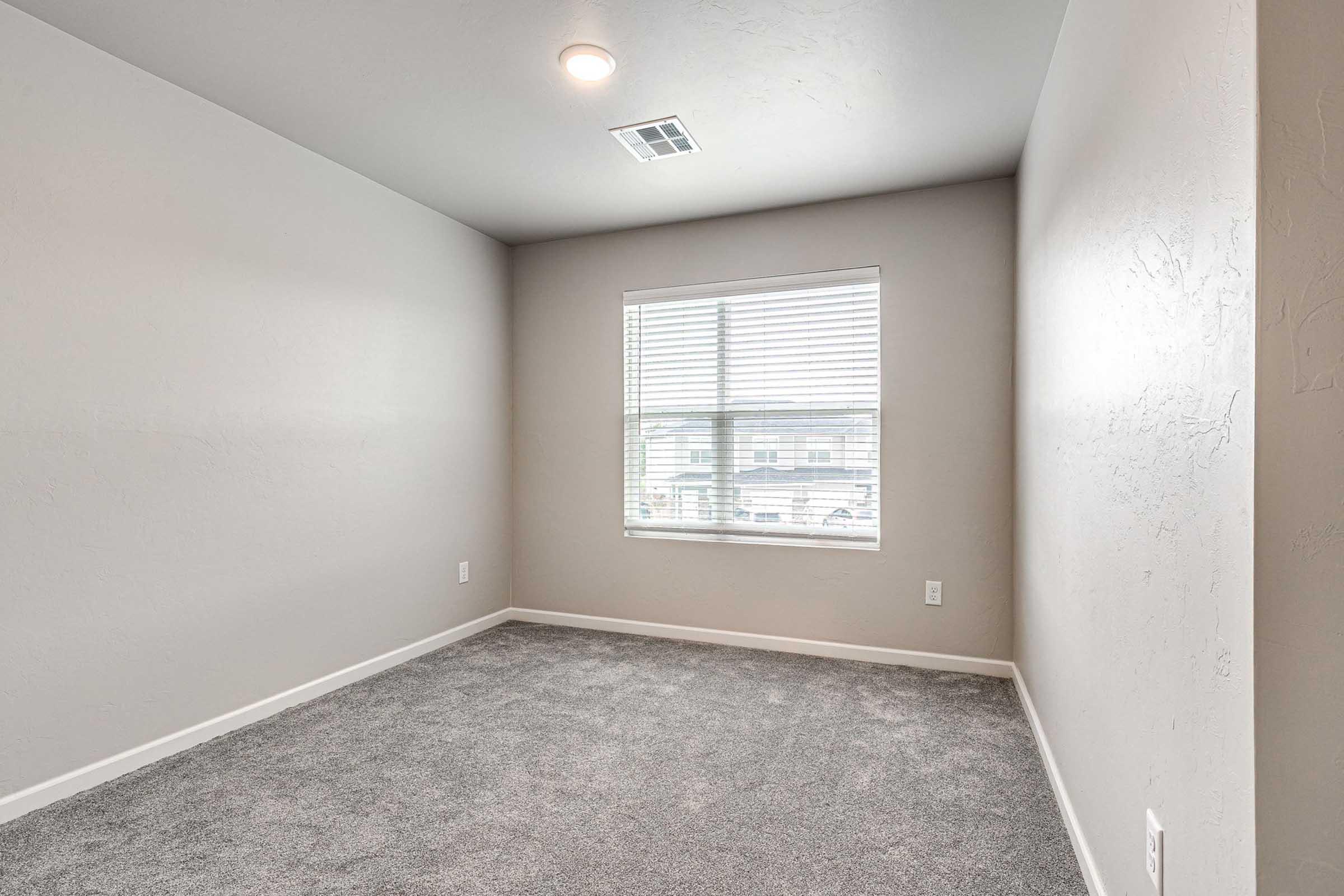 Empty room with light gray walls and a large window featuring white blinds. The floor is covered in light gray carpet, and there is a ceiling light fixture. The space is well-lit and offers a clean, minimalist aesthetic.