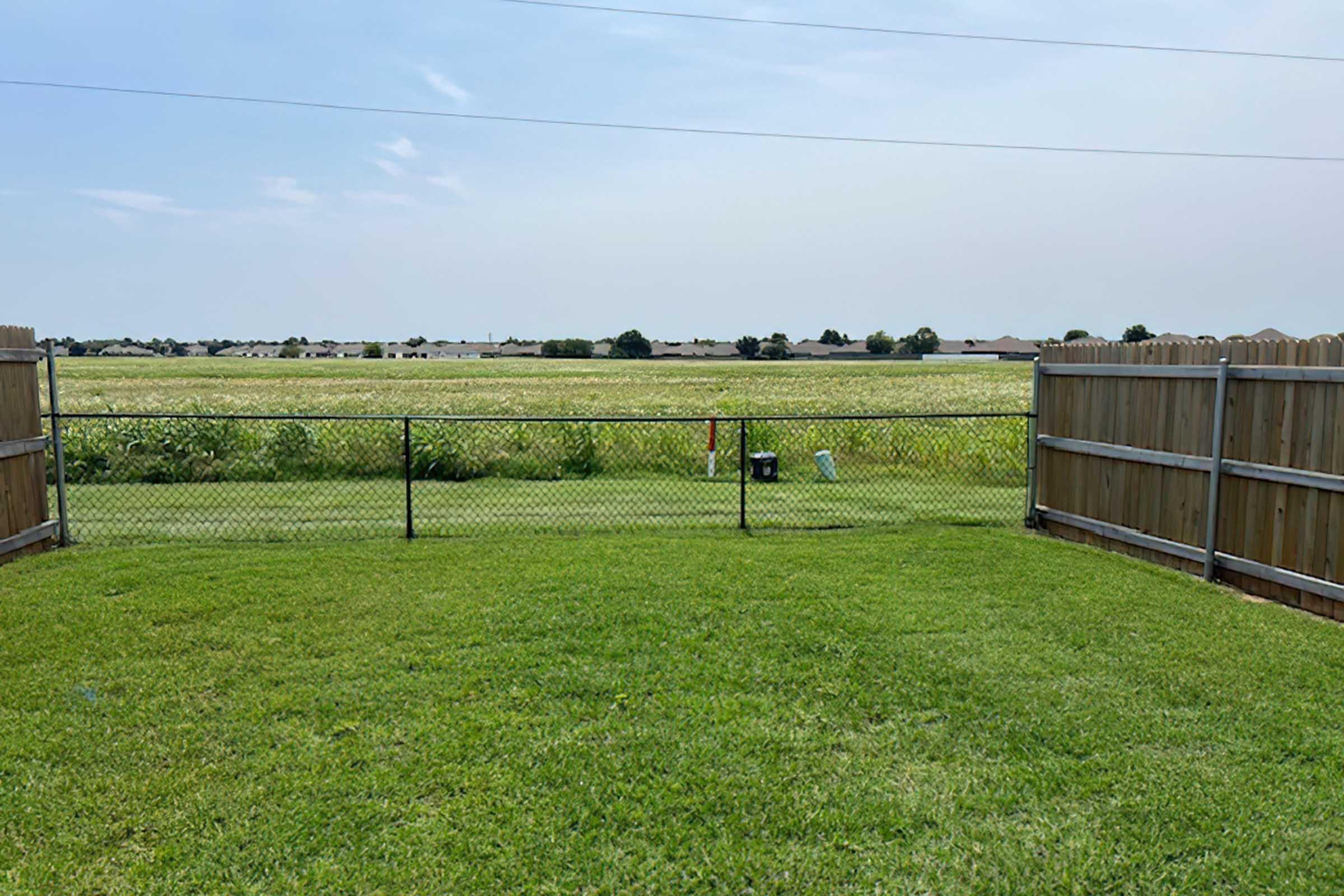 A grassy backyard scene with a chain-link fence. In the distance, fields stretch under a clear sky, with a few trees and a line of houses visible. The horizon is open, and the atmosphere appears calm and sunny.
