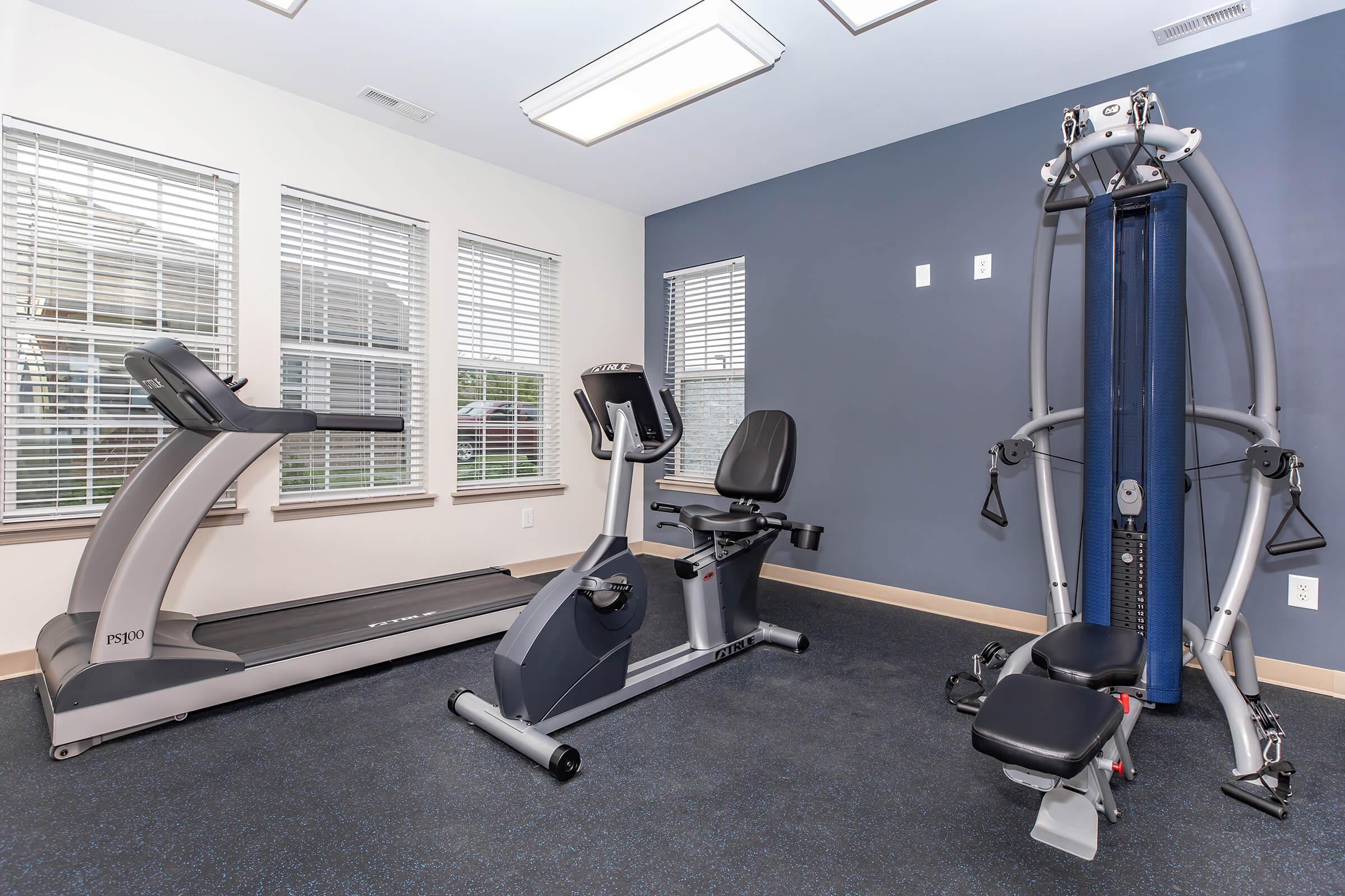A modern indoor gym featuring a treadmill, a stationary exercise bike, and a multi-gym apparatus. Large windows provide natural light, and the walls are painted in a dark color, creating an inviting workout space with blue carpeting.
