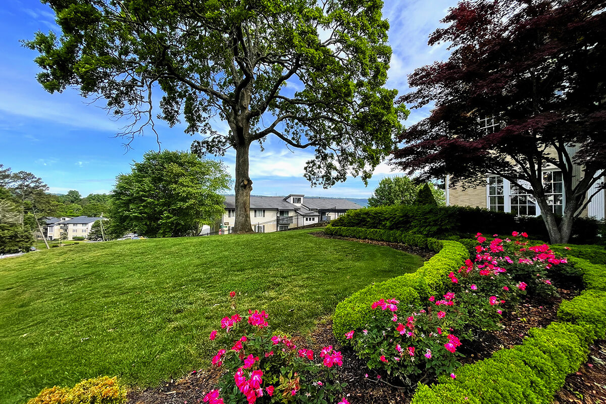 Riverview North Apartments Apartments in Chattanooga, TN