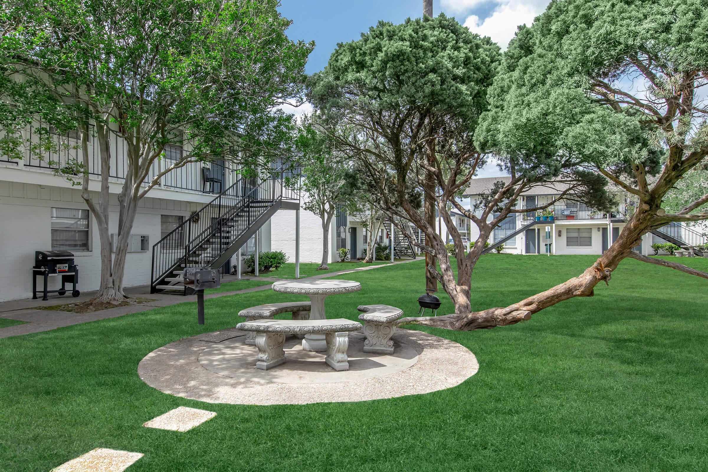 a large tree in a park