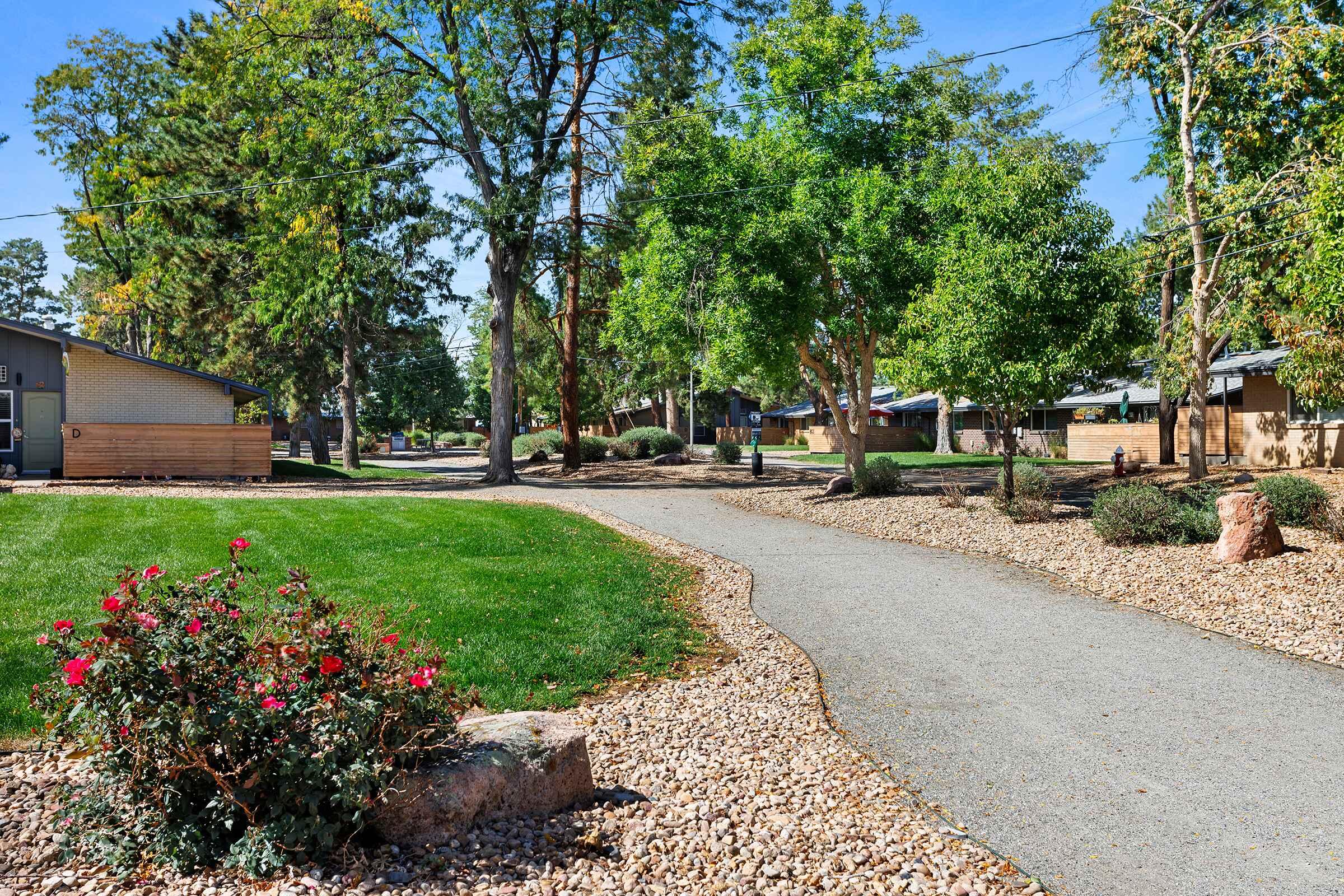 A scenic path winds through a landscaped area featuring green grass, flowering bushes, and decorative rocks. On either side, trees provide shade, and there are buildings in the background, creating a peaceful, inviting outdoor space. The sky is clear, suggesting a sunny day.