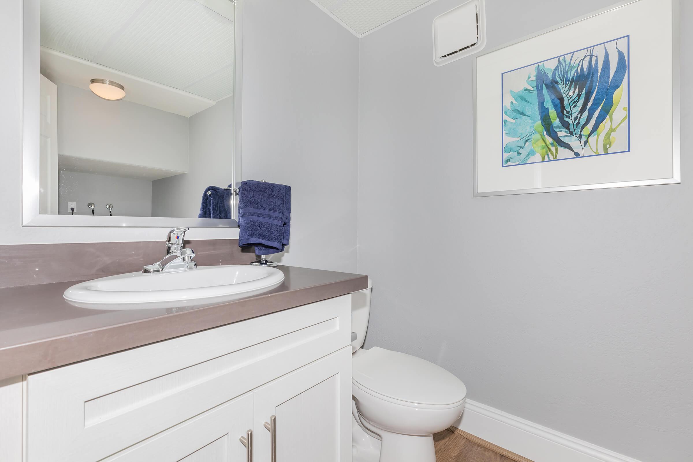 a white sink sitting under a mirror