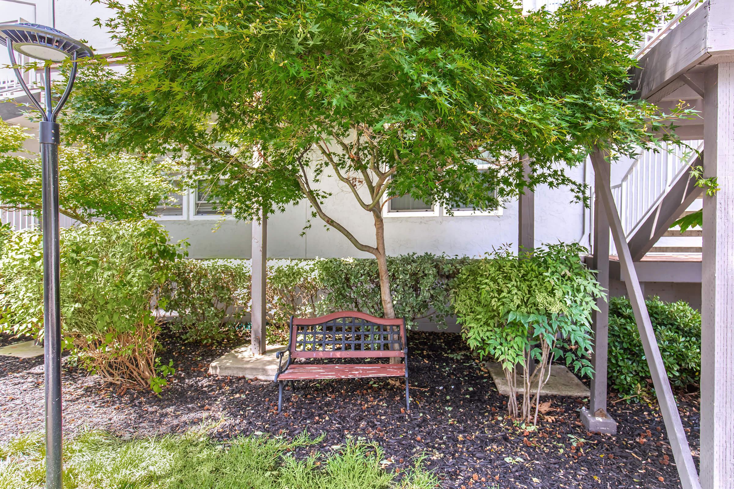 A wooden bench under a leafy tree, surrounded by green shrubs and black mulch. The scene is shaded and tranquil, situated in a residential area with a staircase visible in the background. Soft sunlight filters through the tree branches, creating a peaceful outdoor setting.
