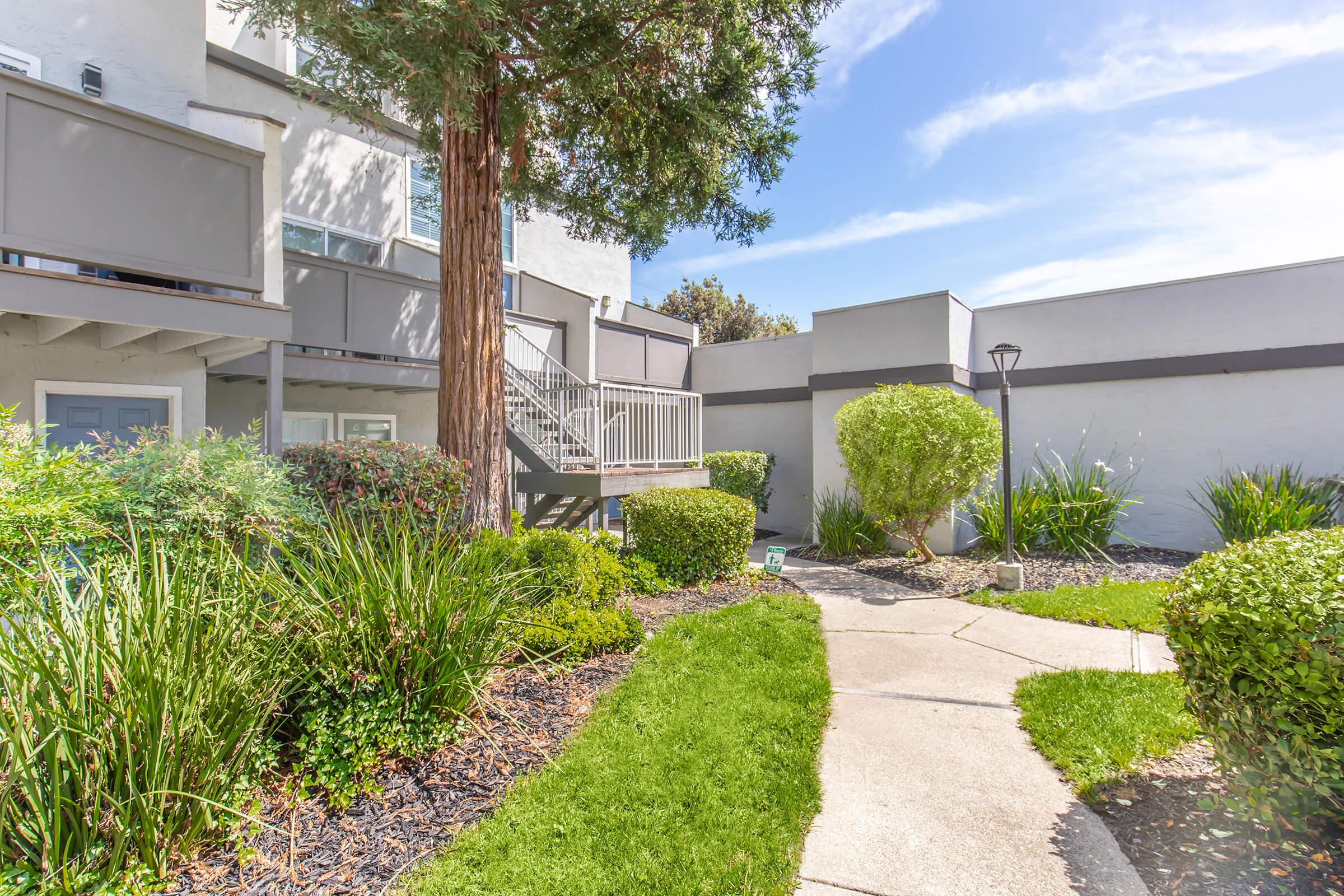 A well-maintained outdoor space featuring green grass, neatly trimmed bushes, and a concrete pathway. In the background, there is a building with a staircase leading to an upper level, surrounded by landscaping. The scene is bright and sunny, suggesting a pleasant garden area.