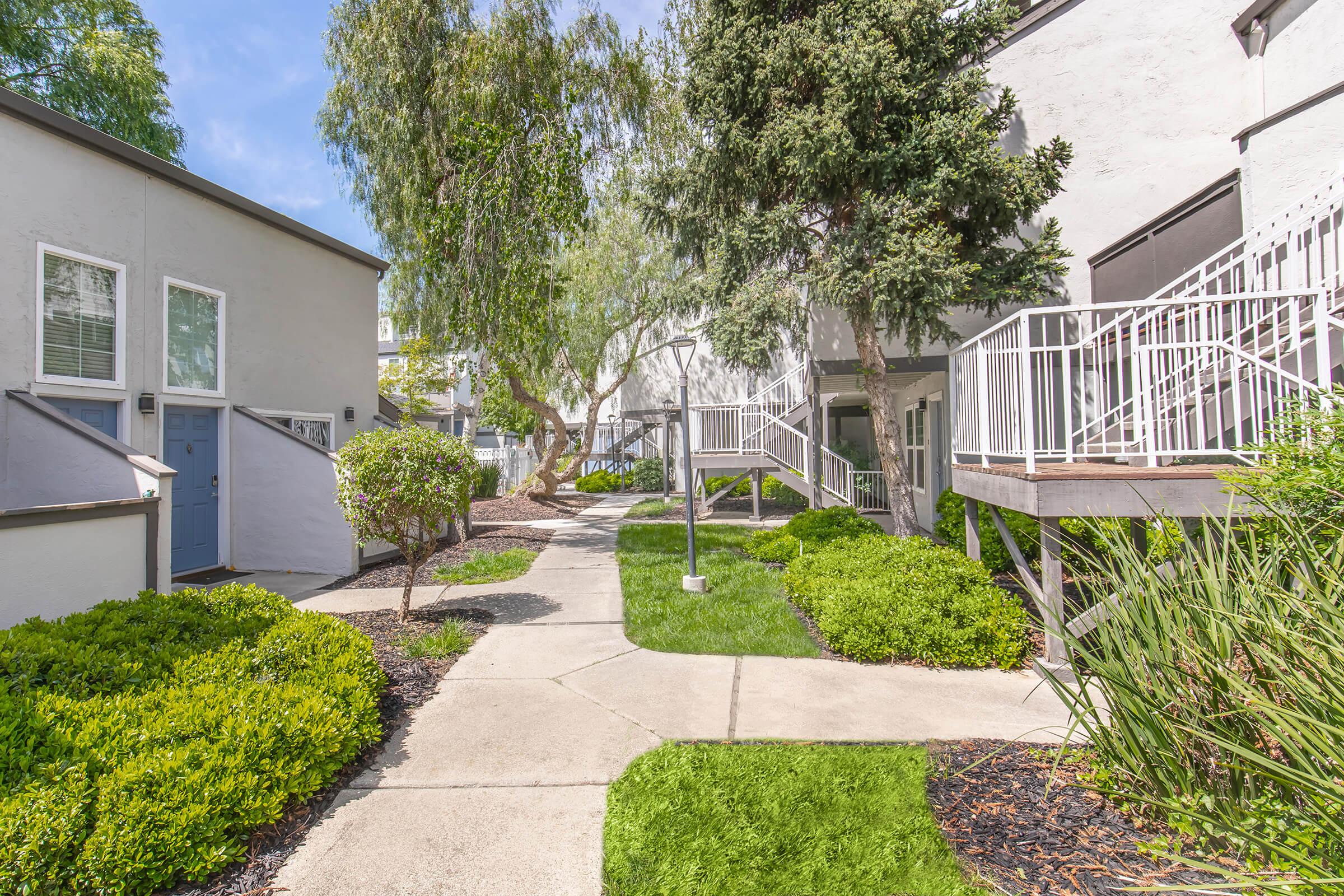 A well-maintained outdoor pathway surrounded by green shrubs and trees, leading through a residential complex. The pathway is concrete, with stairs leading up to buildings on either side, set against a bright blue sky and lush foliage, creating a peaceful atmosphere.