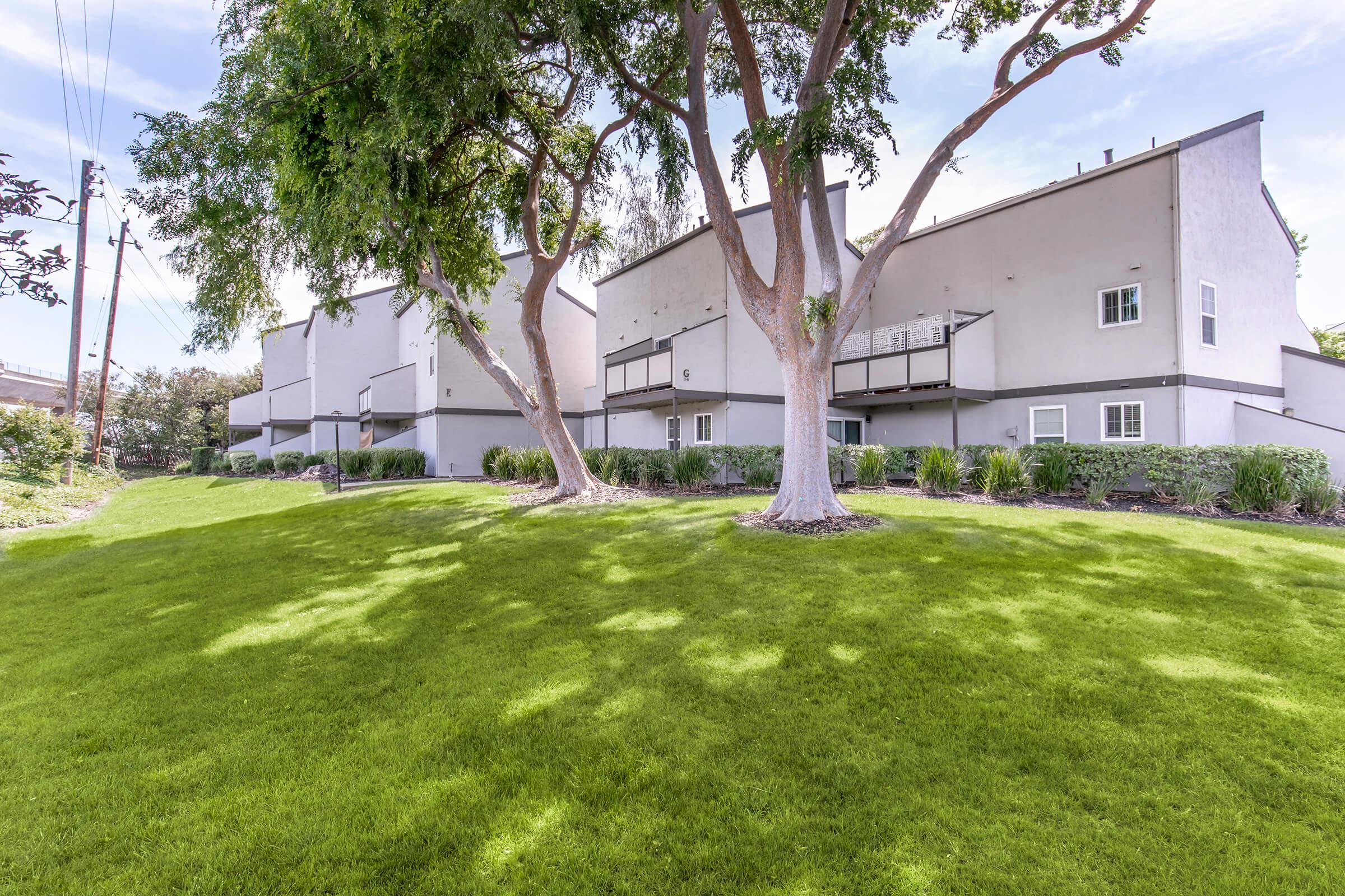 A grassy area featuring two large trees with a row of modern apartment buildings in the background. The buildings have balconies and are surrounded by neatly trimmed shrubs. The scene is bright and well-lit, suggesting a pleasant outdoor environment.