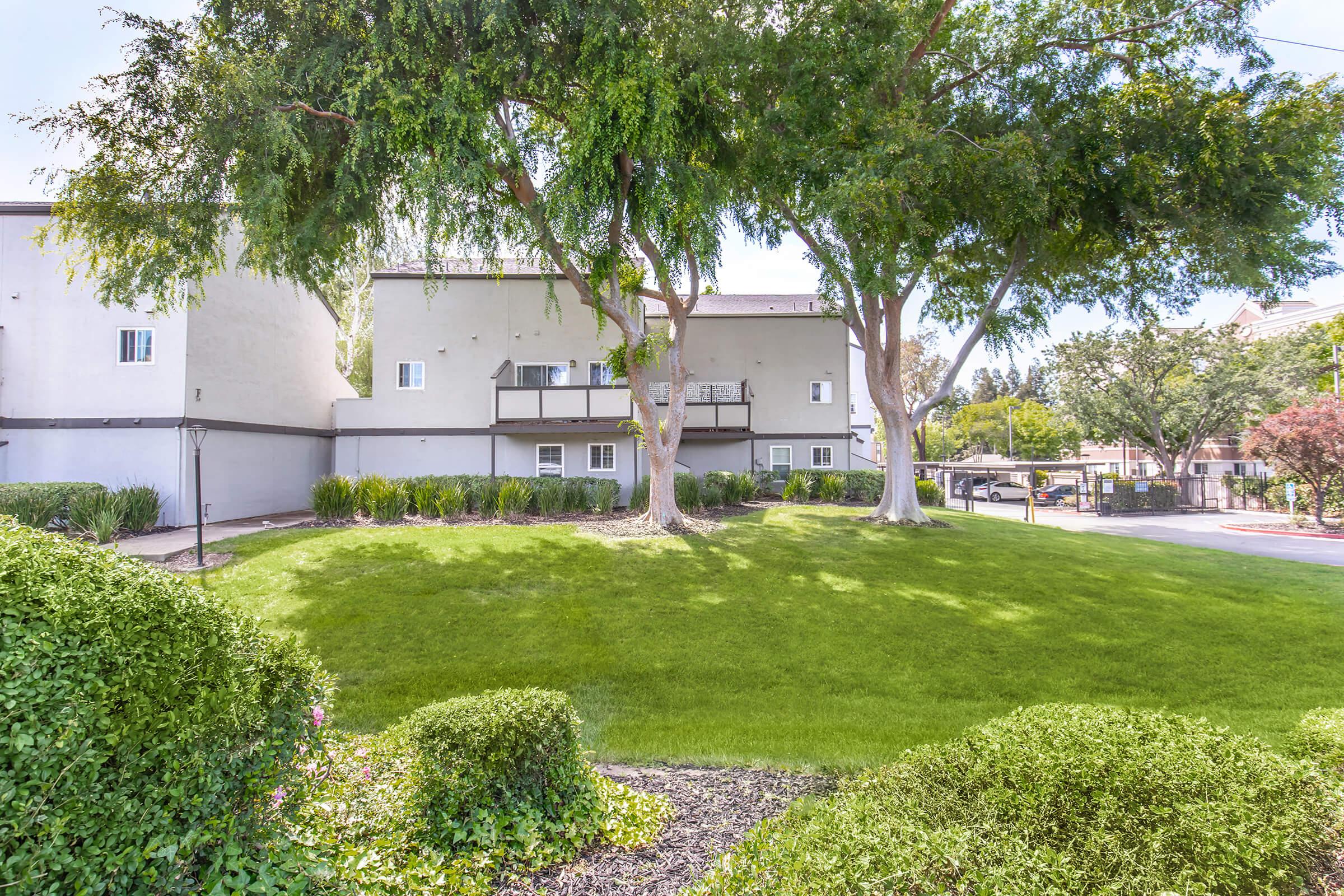 A grassy area surrounded by neatly trimmed shrubs and trees, with two multi-story buildings in the background. The scene is sunny and features well-maintained landscaping, creating a pleasant outdoor space in a residential setting.