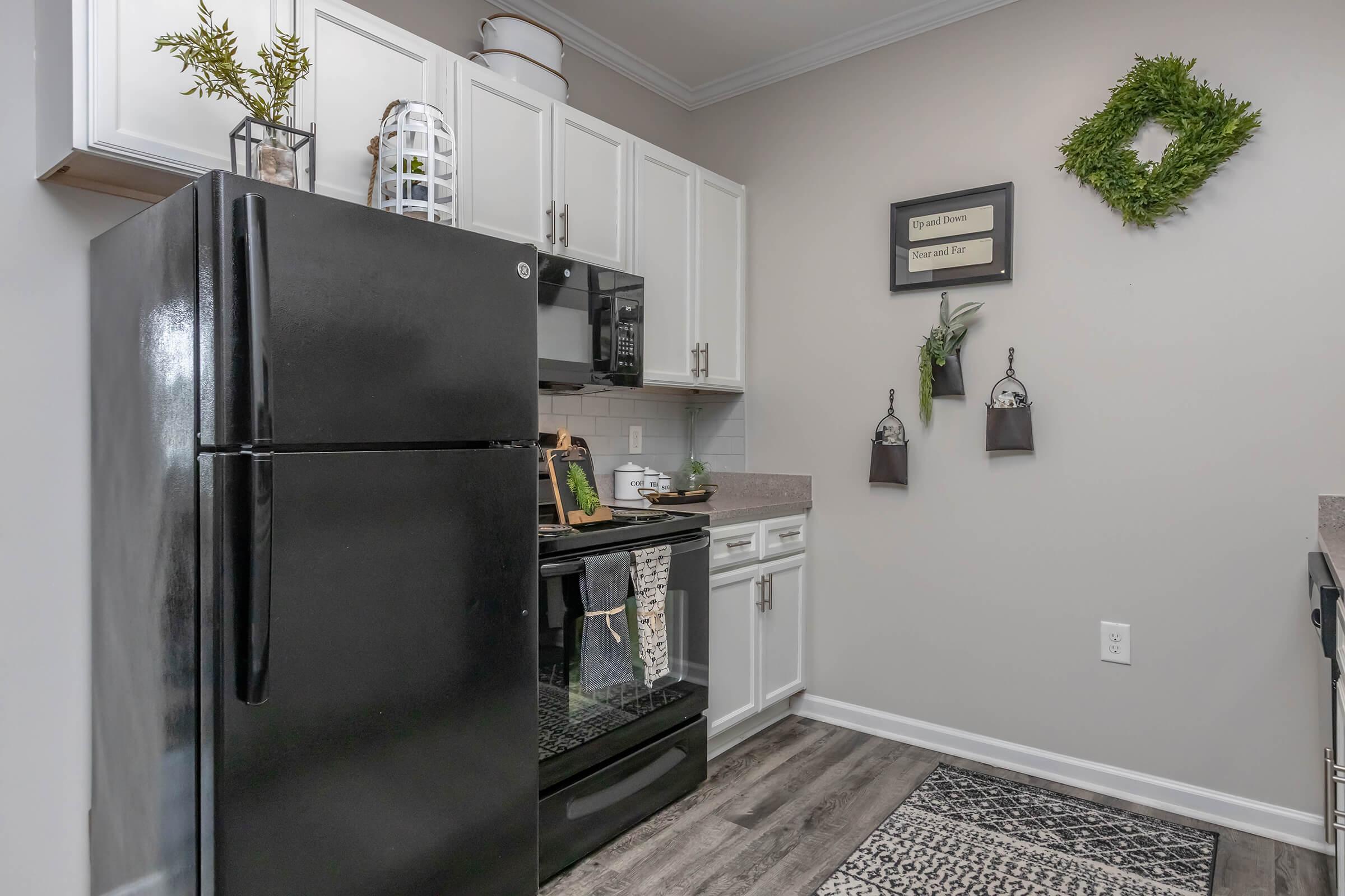 Modern kitchen featuring a black refrigerator and oven, white cabinets, and a granite countertop. Decorative items include small plants and wall art. A patterned rug adds warmth to the space, which has a light color scheme and practical storage solutions.