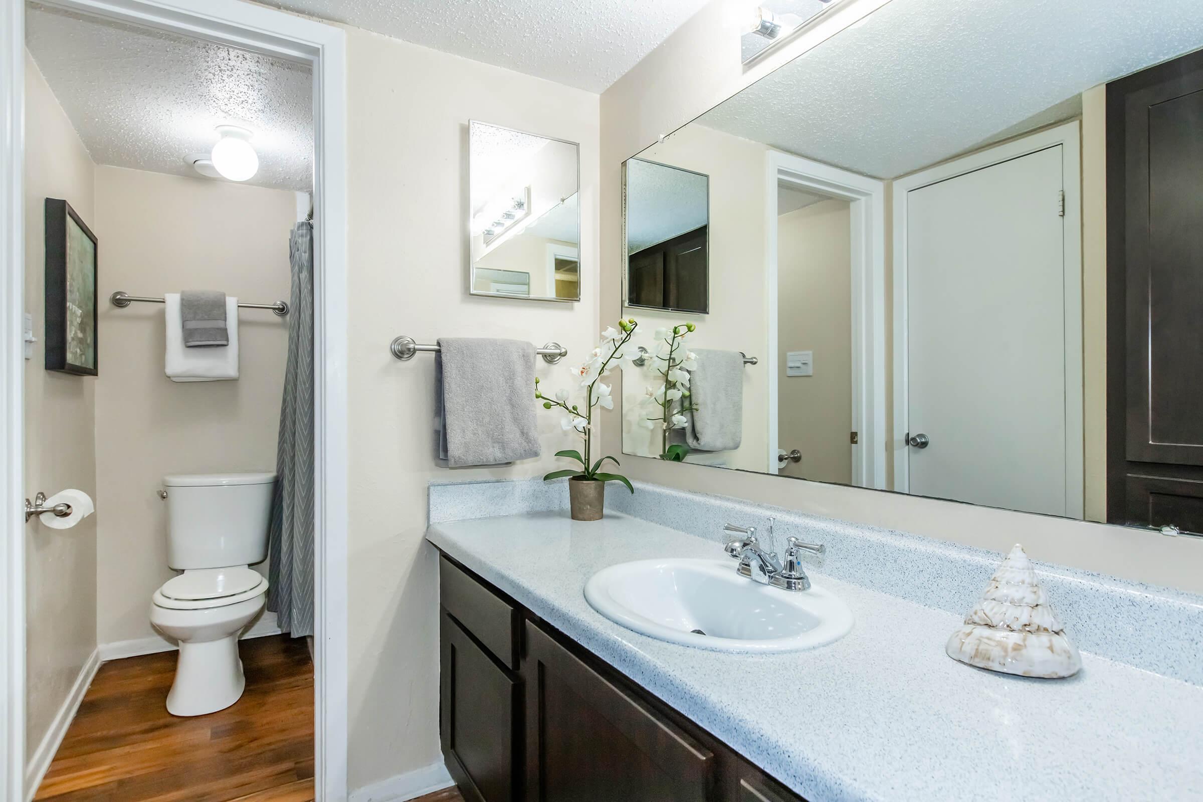 A clean and modern bathroom featuring a white sink with a silver faucet, dark wood cabinetry, a large mirror, and a framed mirror above the sink. A small potted plant and a decorative shell sit on the counter. In the background, a white toilet is visible, along with towels hanging and a shower curtain.