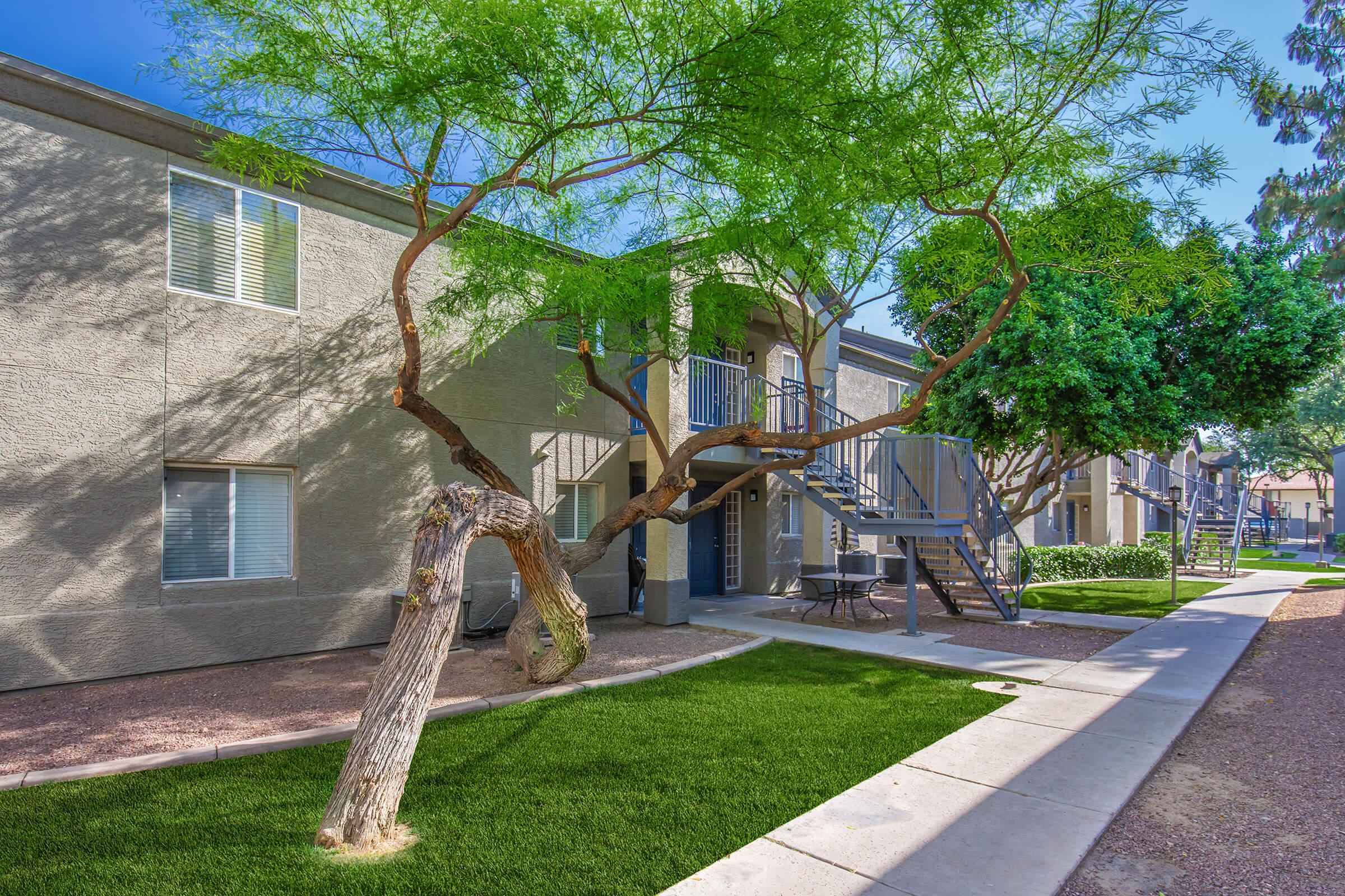 A well-maintained apartment complex featuring gray buildings and lush greenery. A unique tree with a curved trunk stands in the foreground, while a pathway leads to staircases and outdoor seating areas. Sunlight creates a bright and inviting atmosphere in the courtyard.