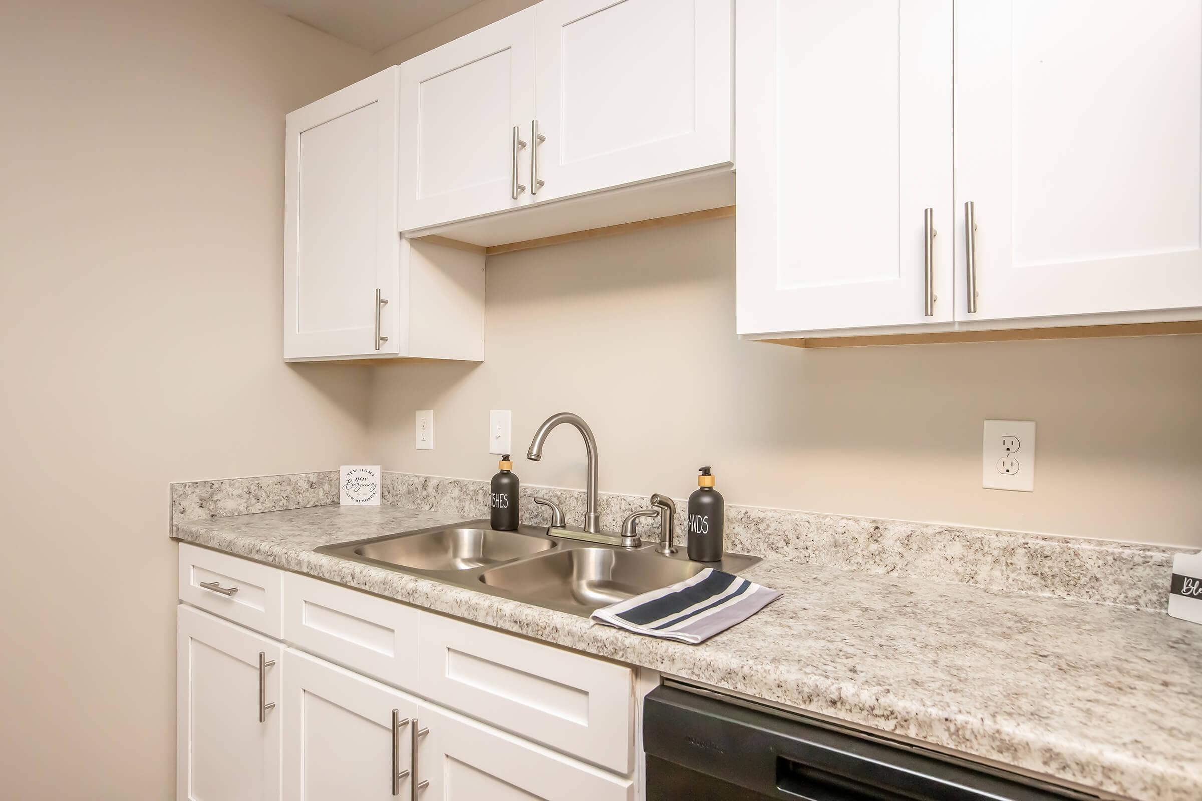 Modern kitchen with white cabinetry, a double sink, and a granite countertop. Two black bottles on the counter, a dish towel, and a minimalistic style create a clean and functional space. The walls are painted a neutral color, enhancing the brightness of the kitchen.