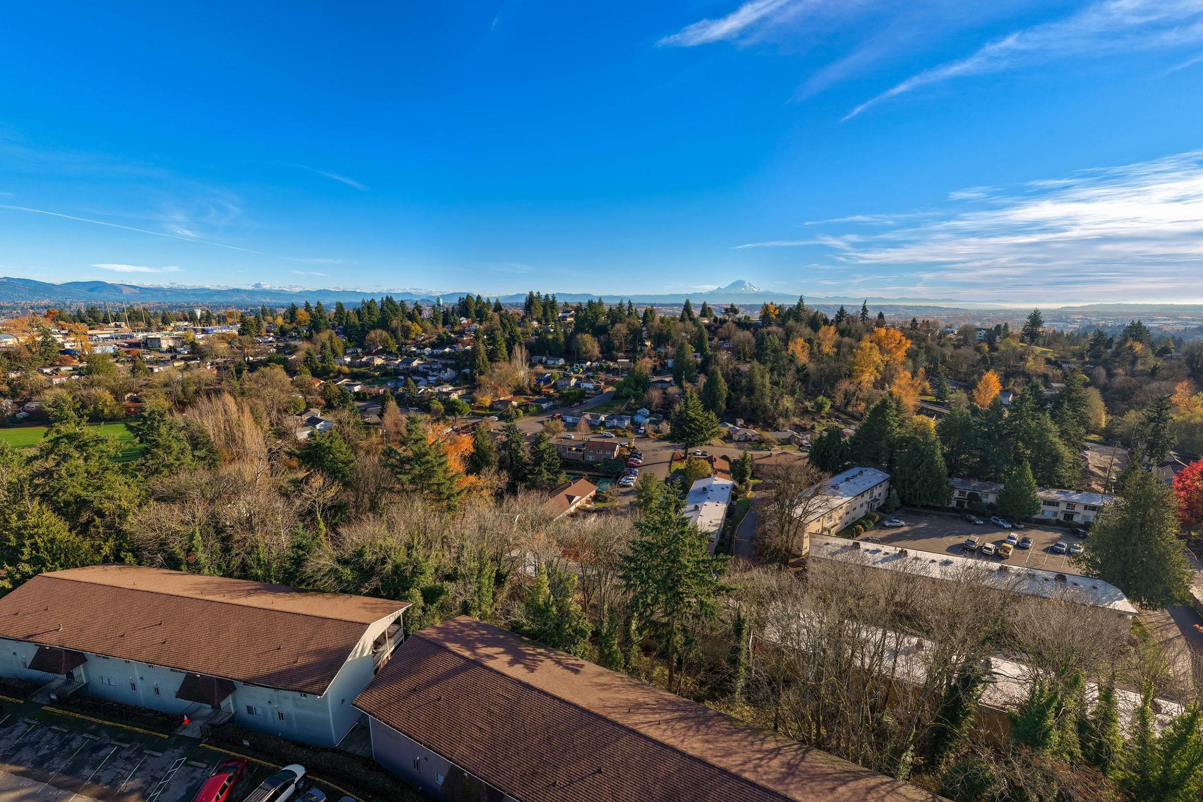 Aerial view of a suburban neighborhood filled with trees and houses. The skyline features a variety of buildings and green spaces, with the distant mountains visible under a clear blue sky. Autumn foliage adds splashes of color. The scene conveys a peaceful residential atmosphere.