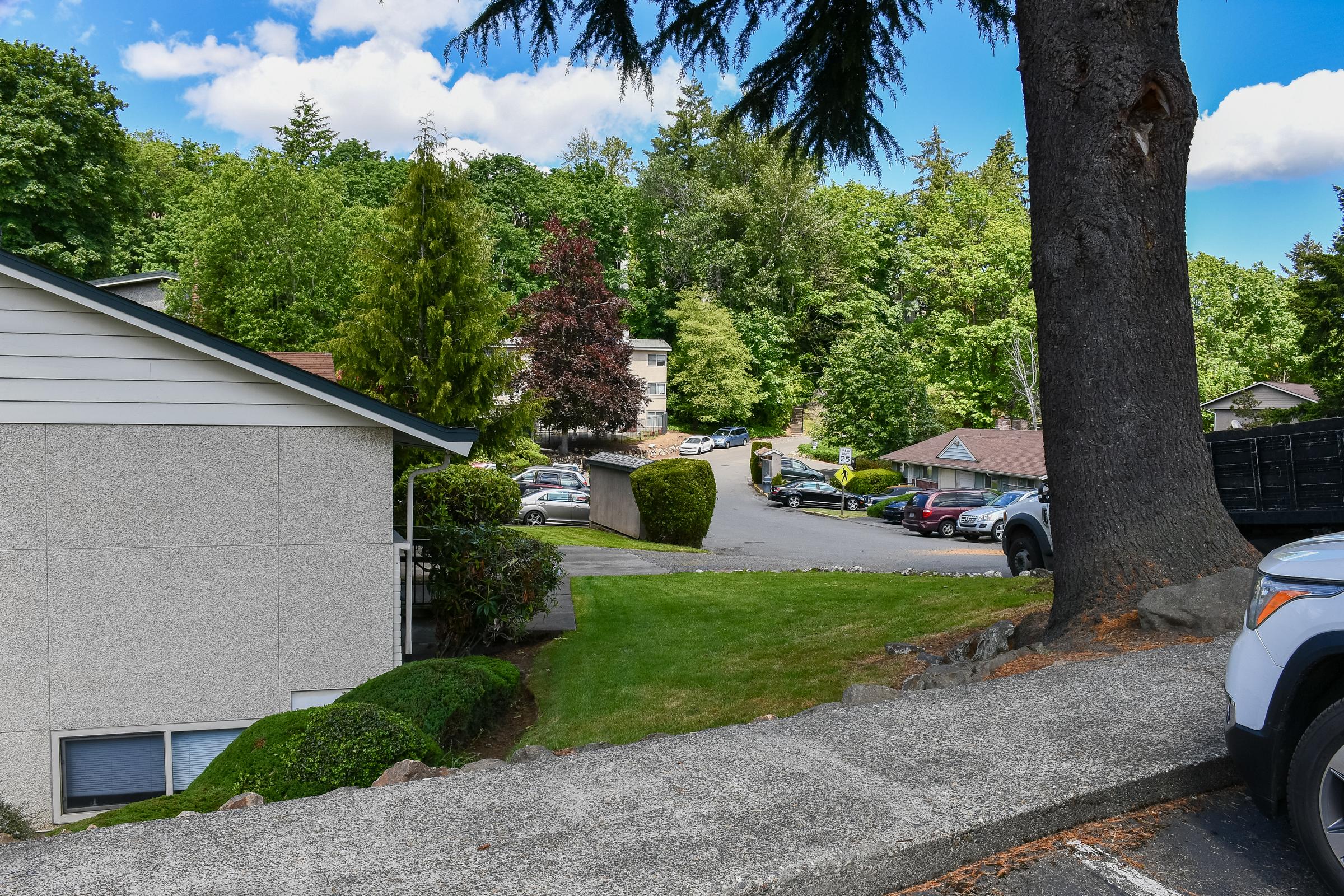 A scenic view of a residential area featuring neatly landscaped lawns, trees, and houses. A winding road can be seen, leading up to more homes in the background, with partly cloudy blue skies above. The foreground includes a stone path and a large tree trunk on the right side.