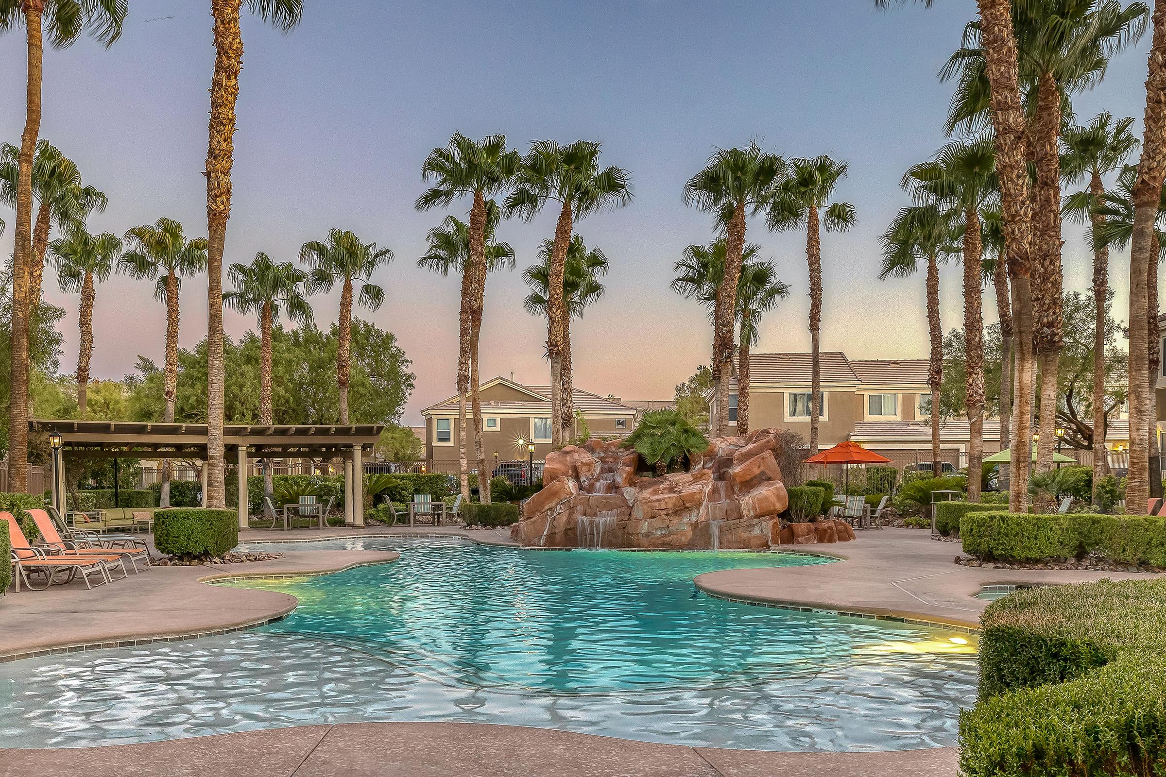 swimming pool with palm trees