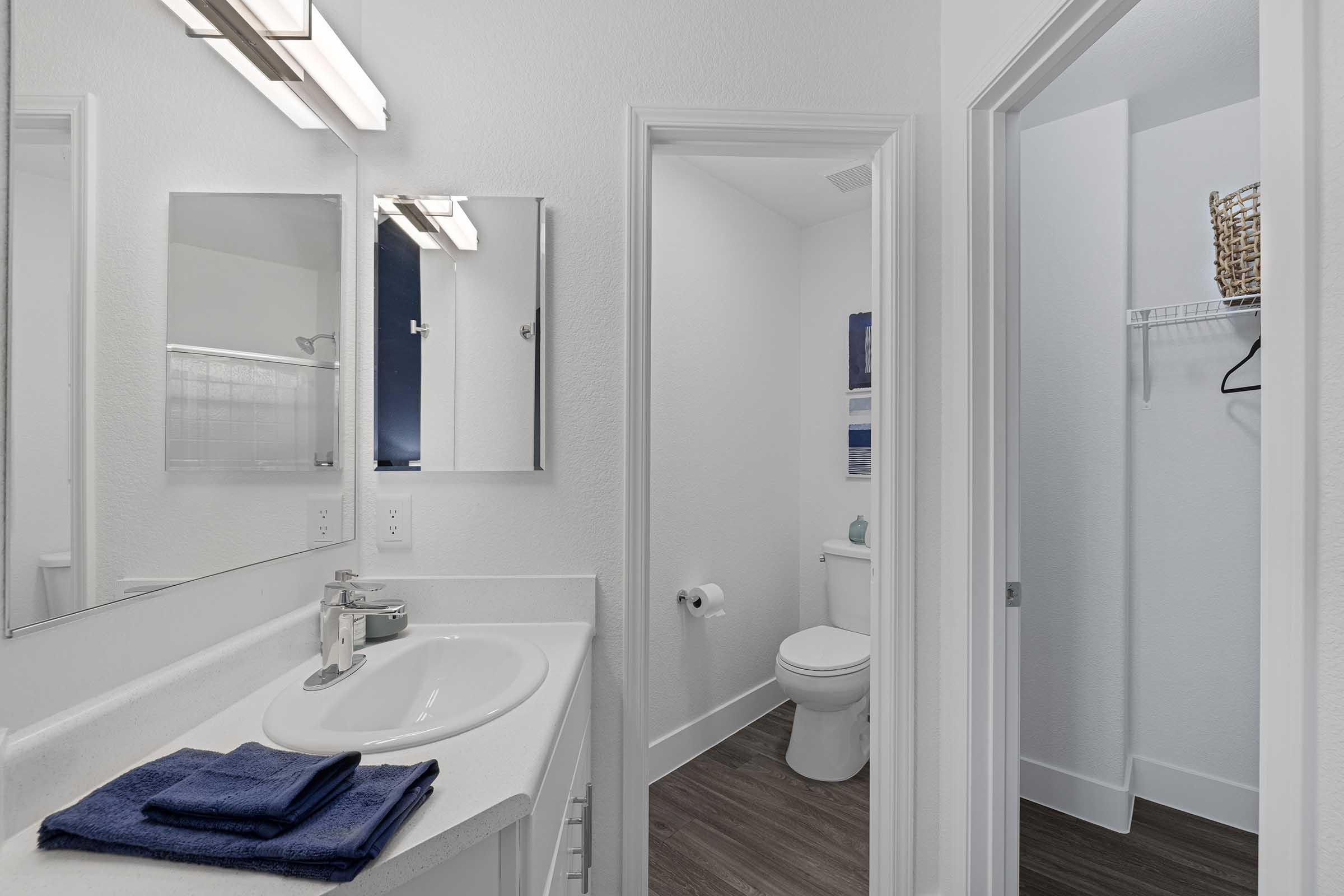 A modern bathroom featuring a white vanity with a sink, a large mirror, and overhead lighting. A toilet is visible in a separate space, along with a closet area. The décor includes neutral colors and a few decorative elements, creating a clean and spacious look.