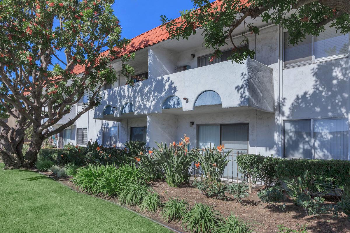 a house with bushes in front of a building