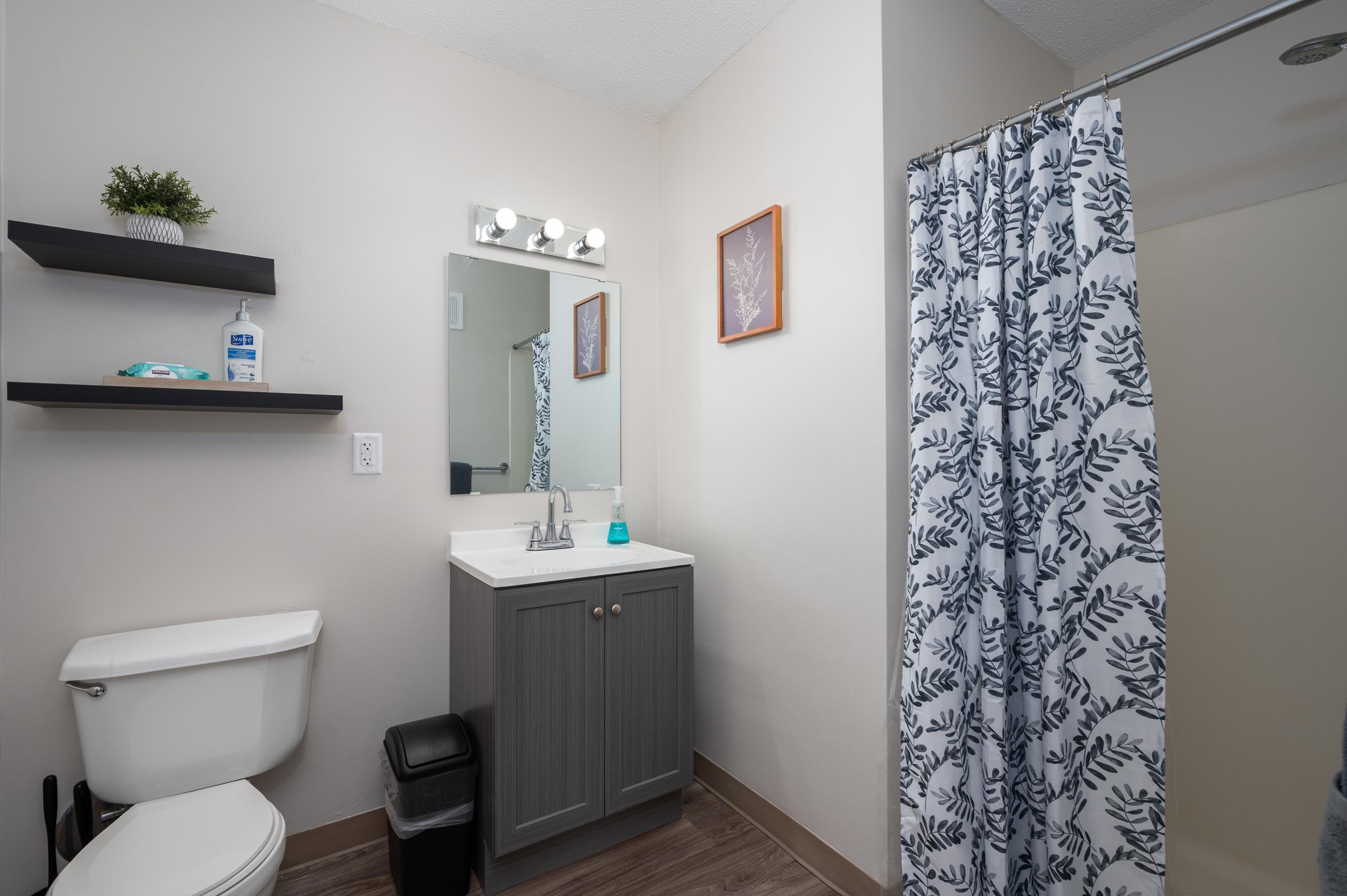 A modern bathroom featuring a white toilet, a gray vanity with a sink, and a large mirror with bright lights. There is a shower area with a patterned curtain and a small shelf containing toiletries. A decorative plant adorns the shelf, enhancing the space's contemporary look.