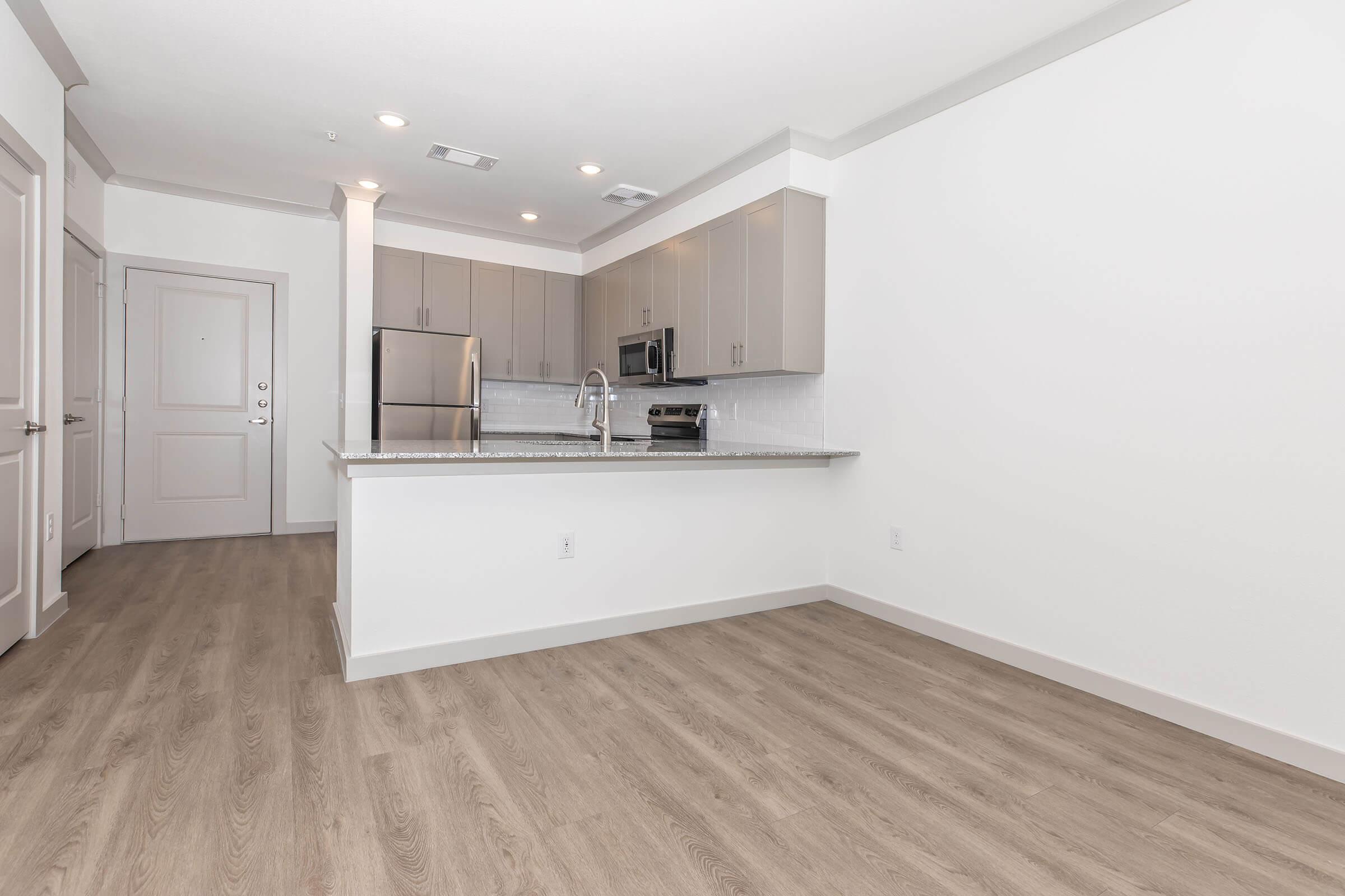 Modern kitchen and living area featuring sleek gray cabinetry, stainless steel appliances, and a spacious layout. The room has light wood-like flooring and white walls, creating a bright and airy atmosphere. There is a door leading to a corridor, enhancing the sense of openness.