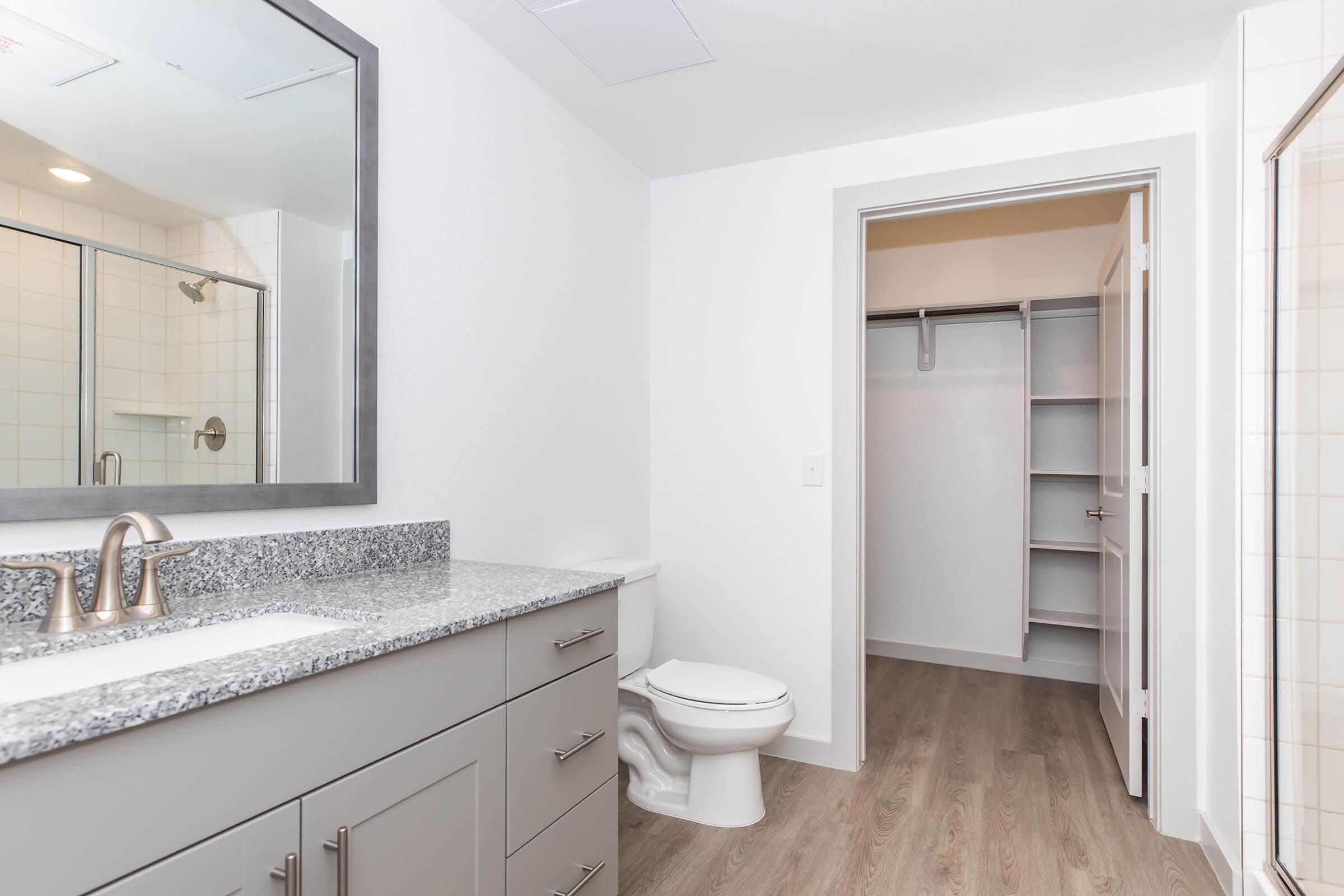 A modern bathroom featuring a large mirror above a double sink vanity with gray cabinets. There is a toilet beside the vanity, and a door leading to a spacious walk-in closet on the right. The room has light-colored walls, and the flooring is wood-like laminate, creating a contemporary and bright atmosphere.