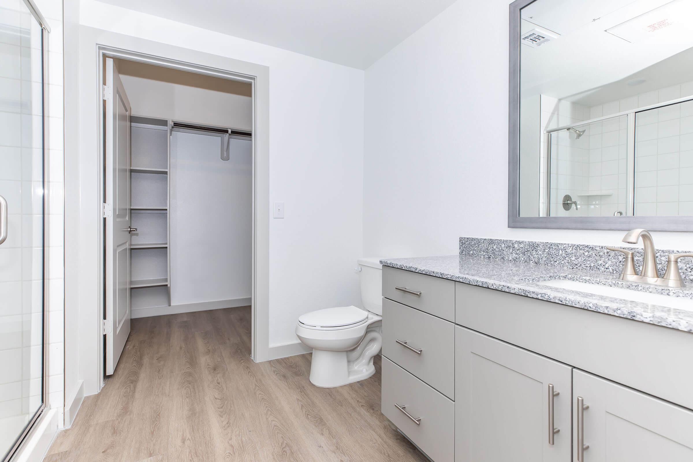 A modern bathroom with a large mirror above a sleek, gray vanity featuring dual sinks. There is a white toilet, and a spacious walk-in shower with glass doors. A sliding closet door reveals additional storage space. The flooring is light wood, creating a clean and contemporary feel.