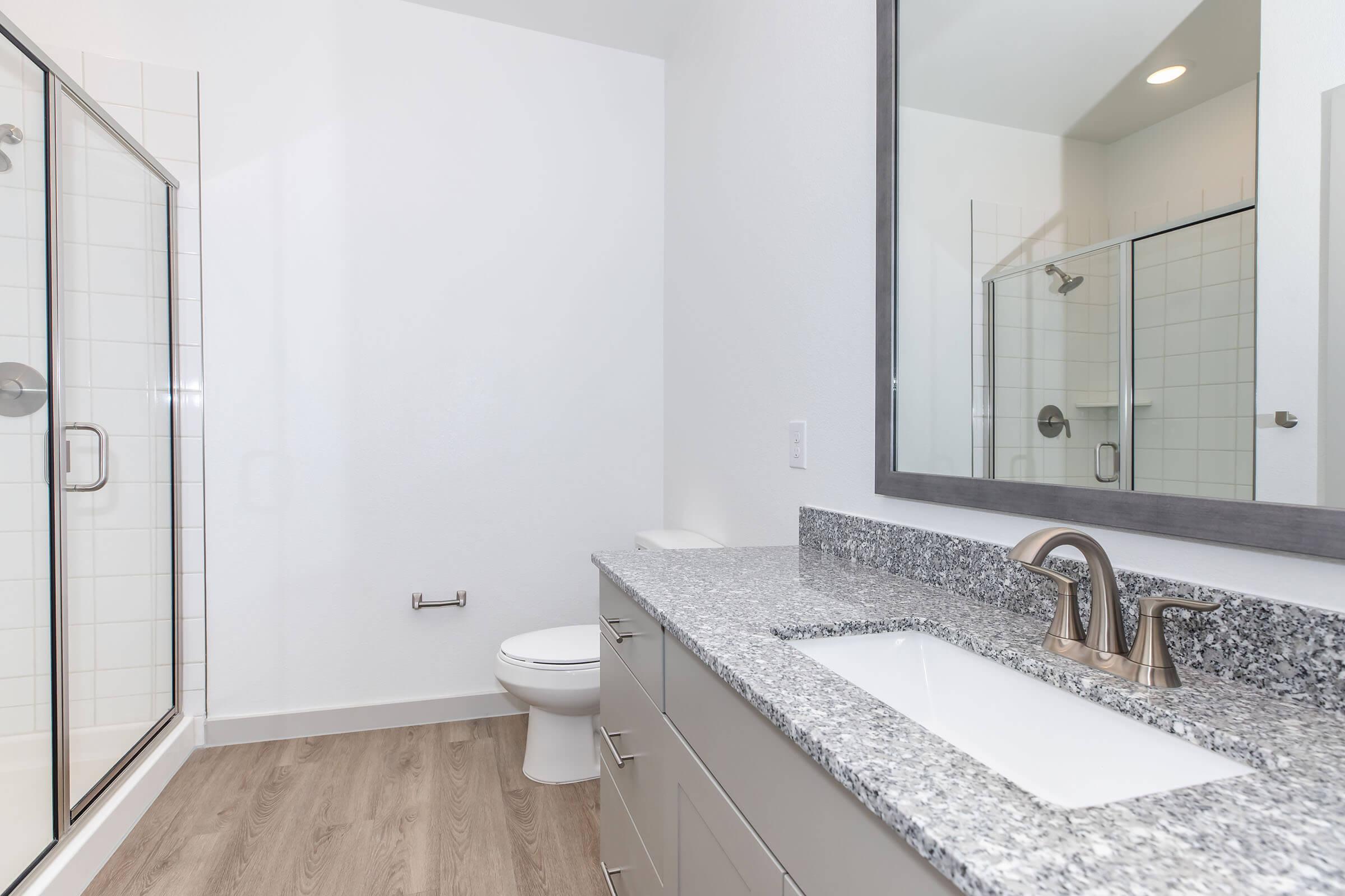 A modern bathroom featuring a glass shower, a toilet, and a stylish sink with a granite countertop. The walls are painted white, and there is a large mirror above the sink. The flooring is light wood, adding warmth to the overall clean and contemporary design.