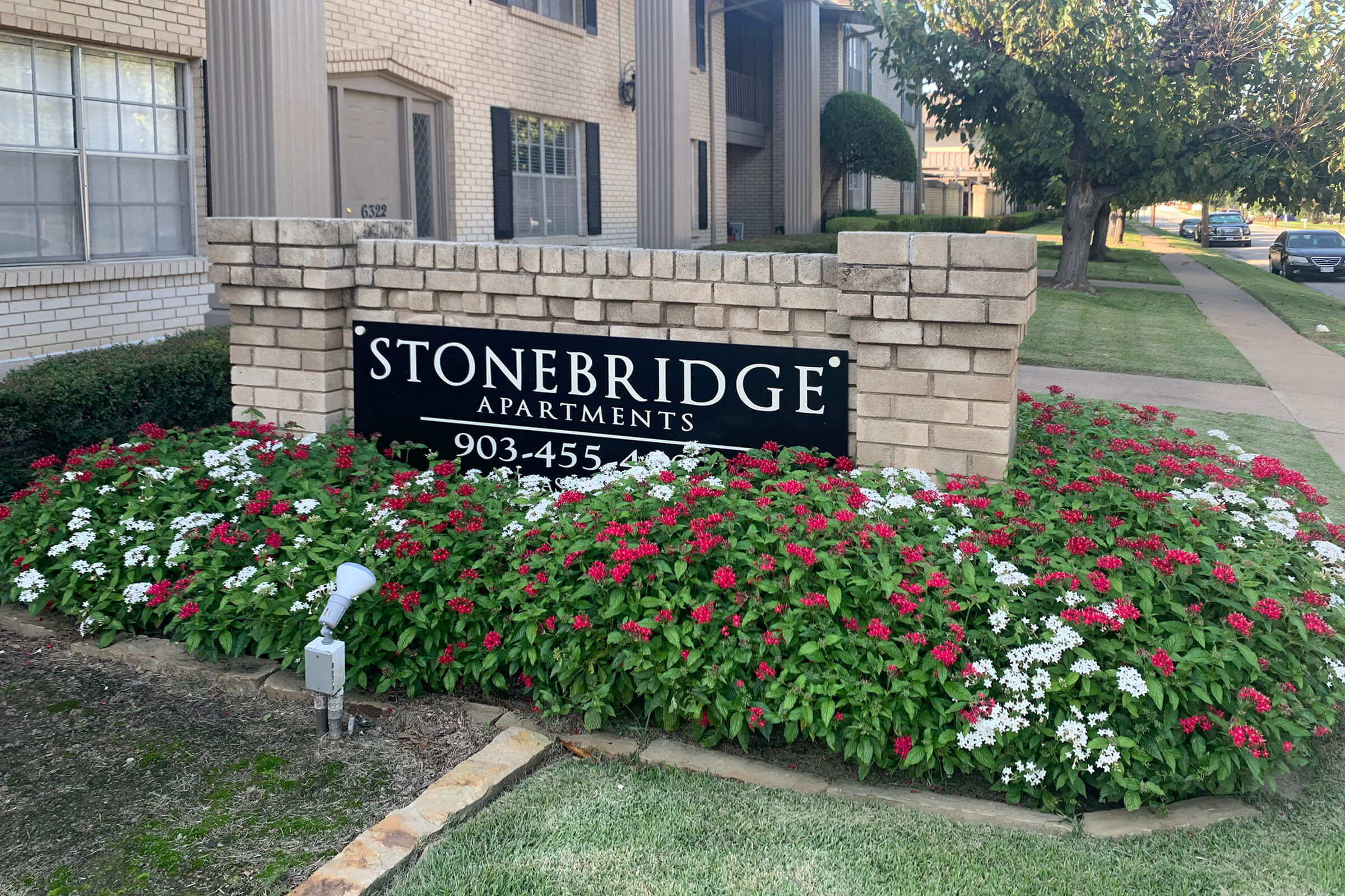 a close up of a flower garden in front of a building