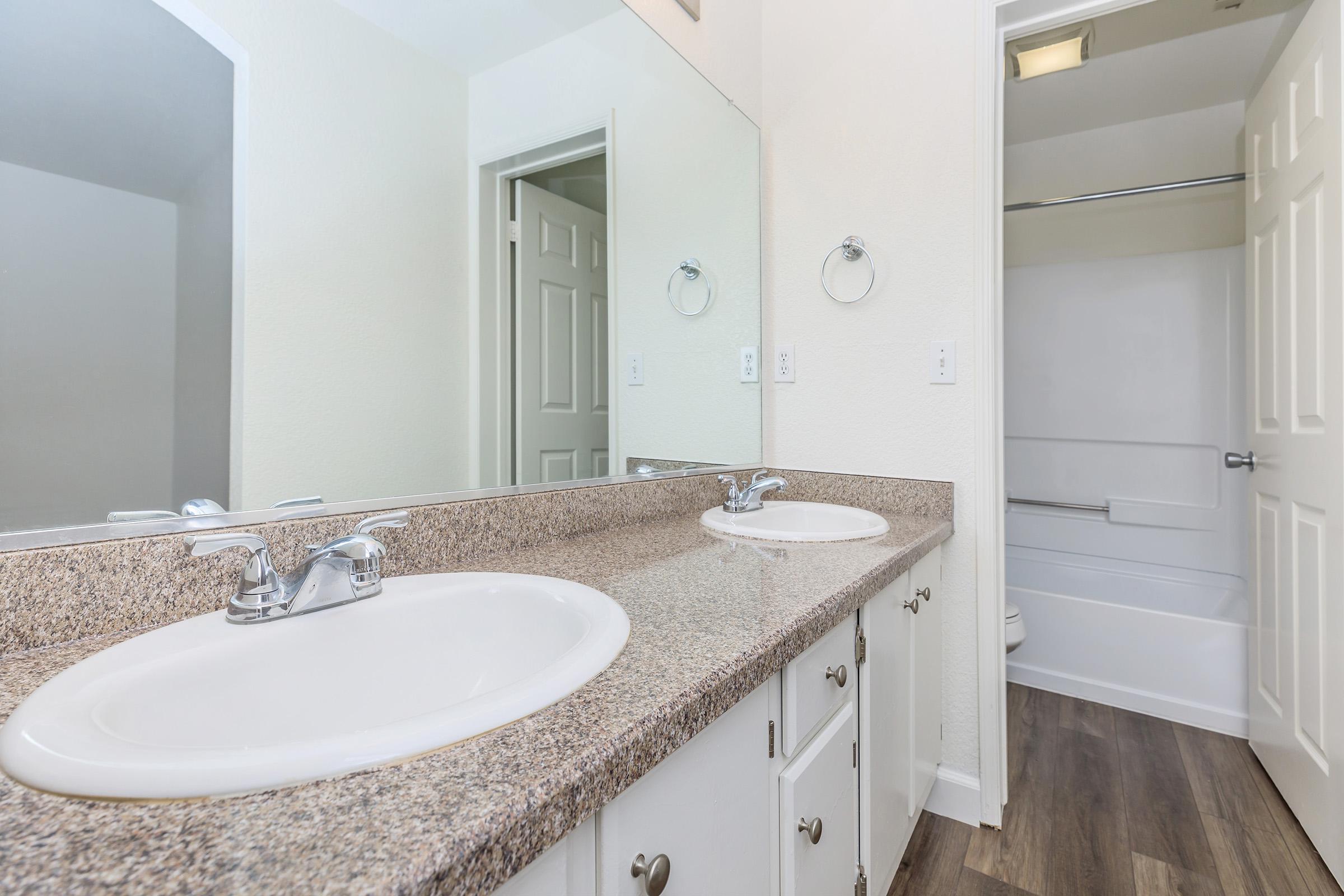 a double sink and large mirror