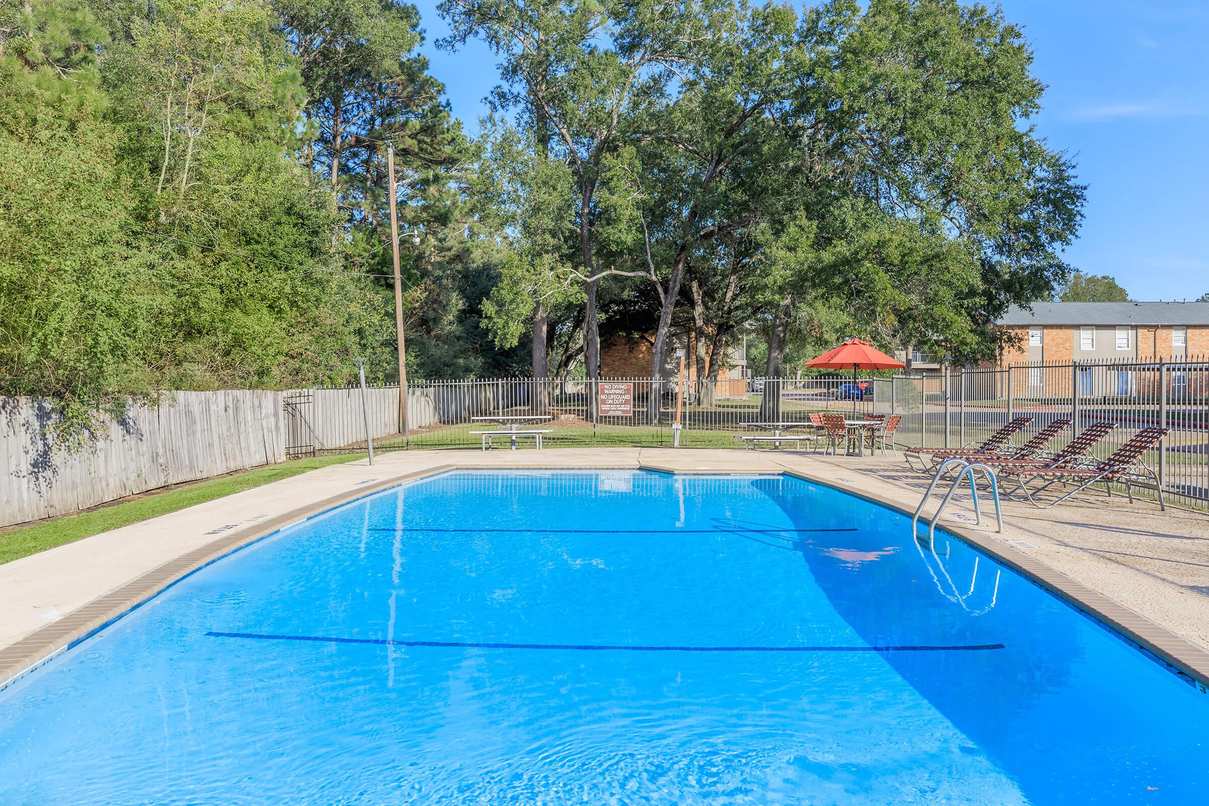 A clear, blue swimming pool surrounded by a concrete deck. Lounge chairs are arranged along one side, and an umbrella provides shade nearby. Lush green trees are in the background, and a wooden fence encloses the pool area. The sky is bright and sunny, creating a refreshing outdoor atmosphere.
