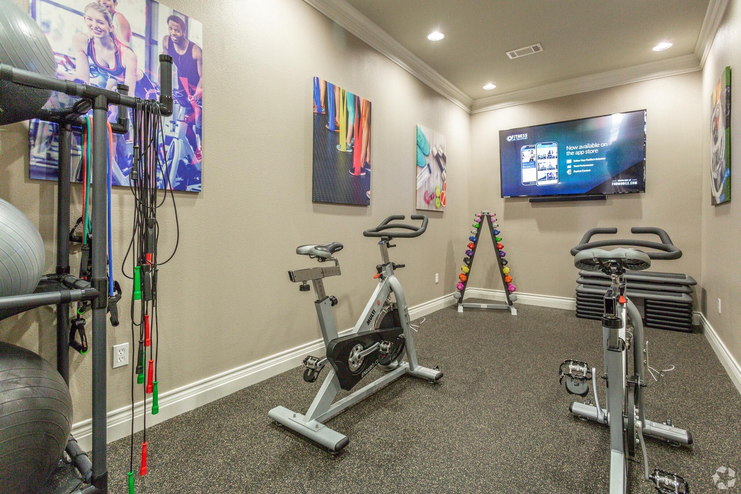 A well-equipped home gym featuring two stationary bikes, fitness balls, dumbbells of various weights, and exercise mats. The walls are adorned with colorful motivational fitness artwork, and a TV displays workout information, creating an energetic atmosphere for exercising.